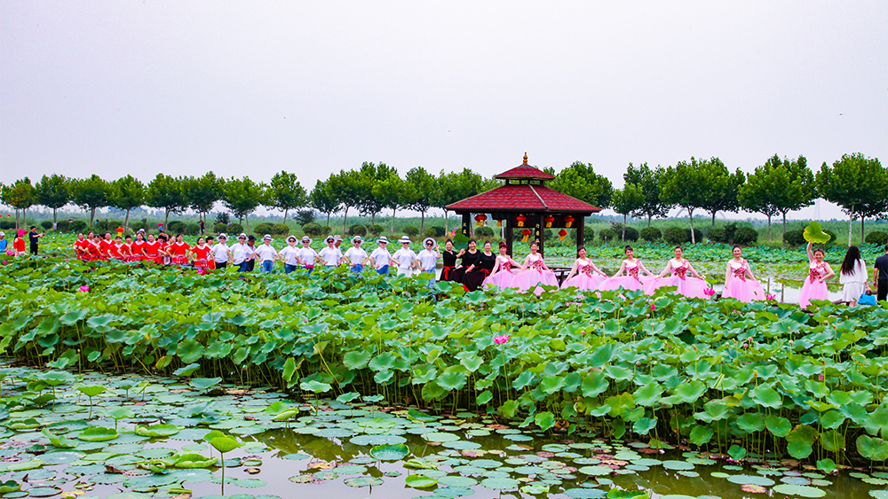 云台农场“云水湾”湿地公园游人如织 (2).jpg