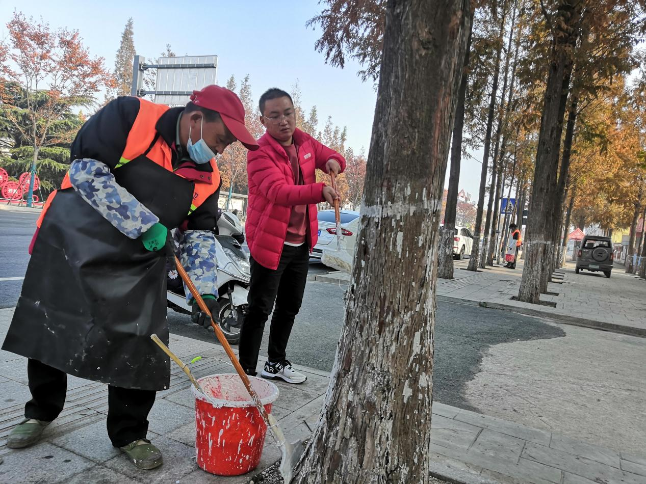 华泰物业：党员先锋树模范  树木越冬养护忙.png