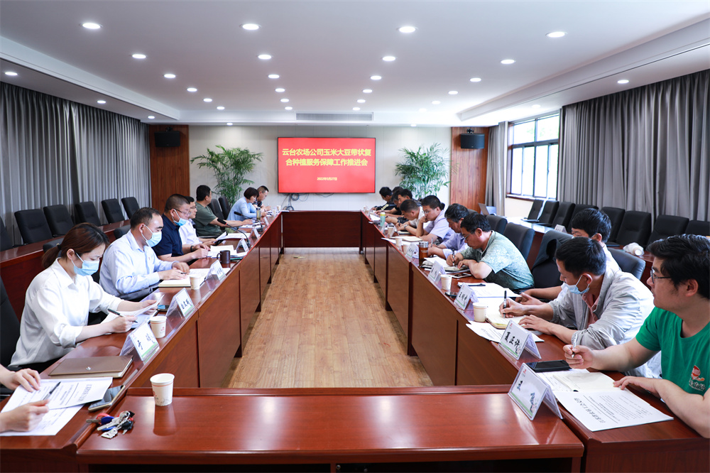 20220527云台召开玉米大豆带状复合种植服务保障工作推进会.jpg