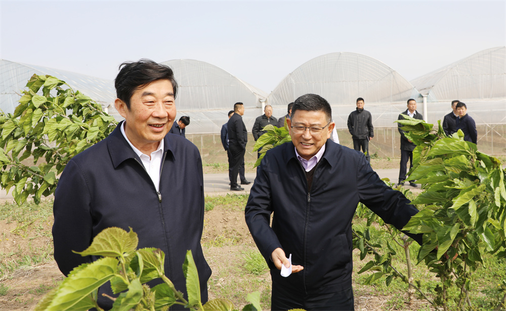 20230421 胡兆辉到云台考察调研.jpg