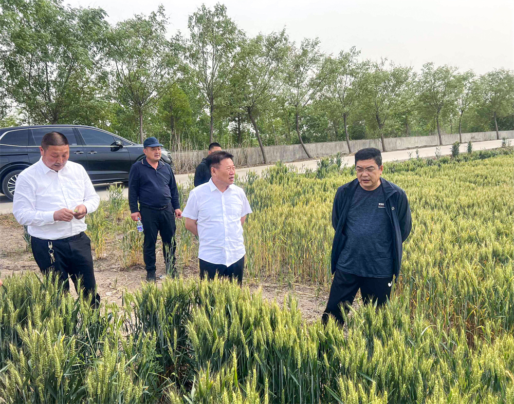 20230521 黄海农场公司党委书记、黄海分公司总经理陈守军到云台交流调研.jpg