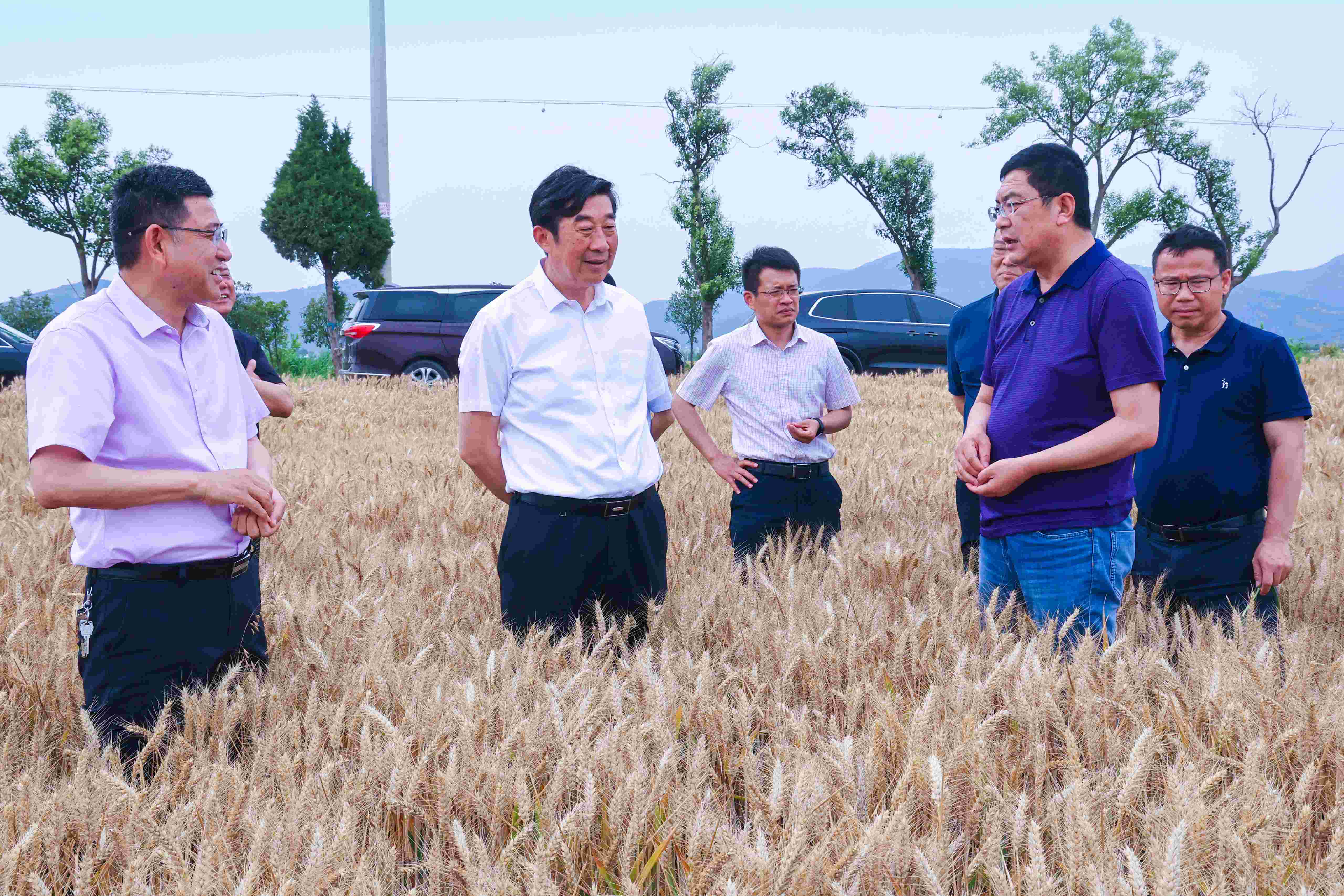 1686189409562588.jpg 20230607胡兆辉到云台调研指导“三夏”工作(1).jpg