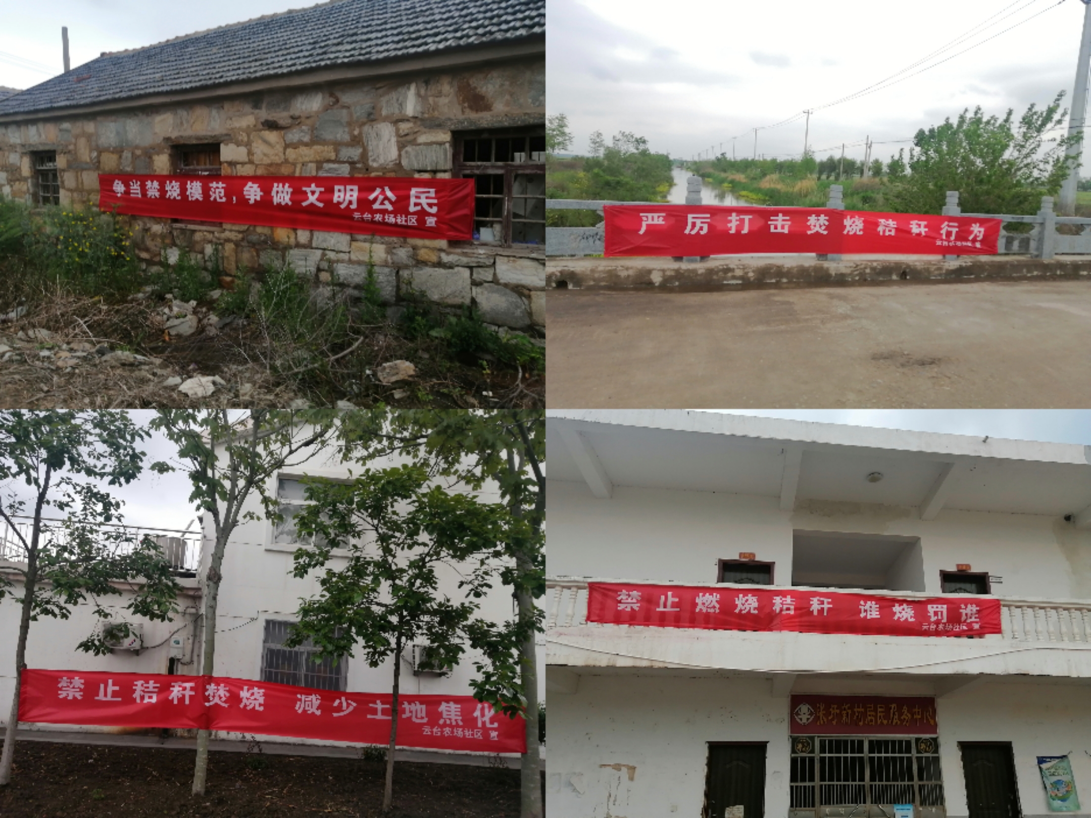 20230608 云台多措并举做好“三夏”秸秆禁烧工作.jpg