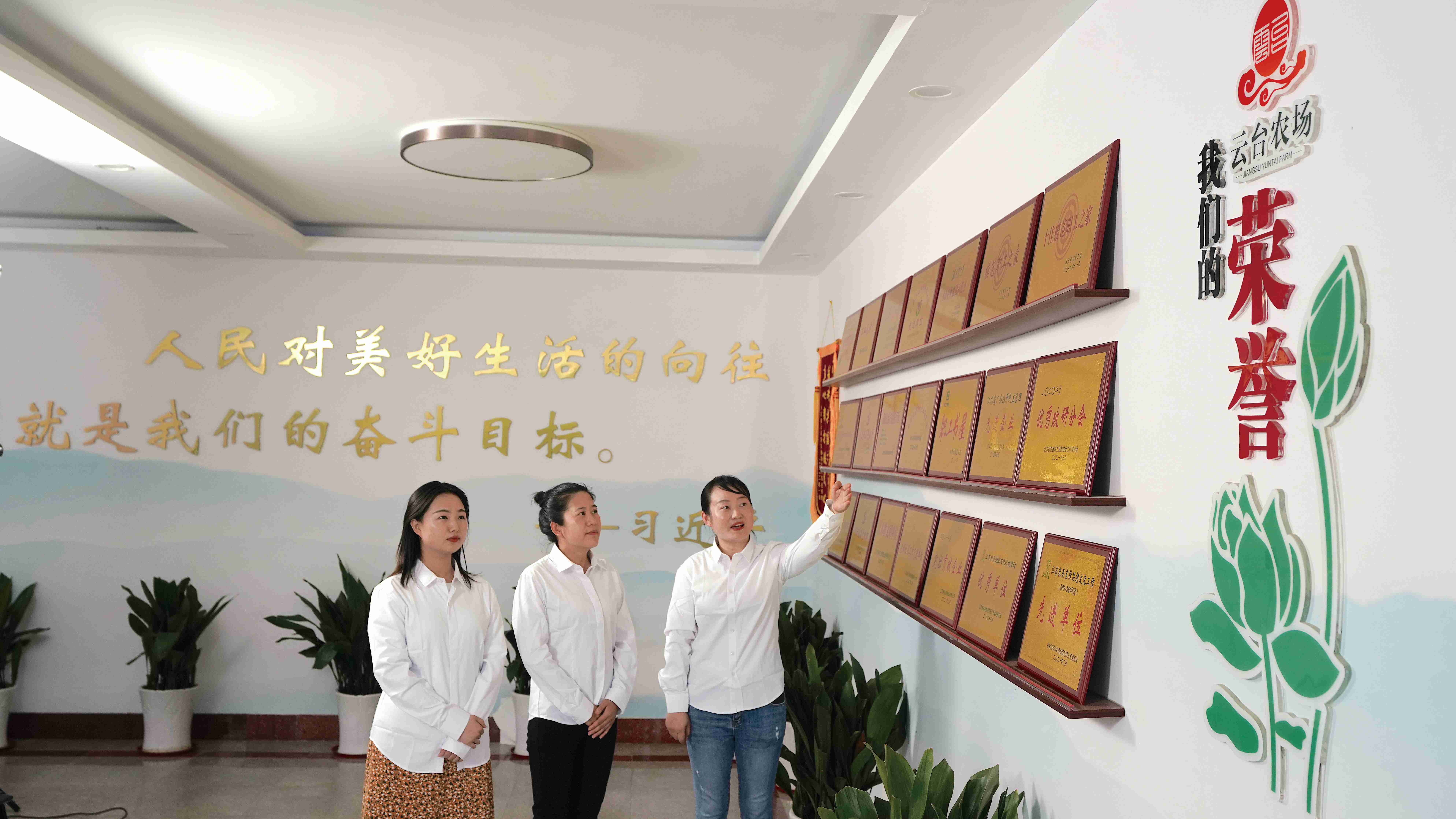 20230707 云台上半年成绩单“热力”十足 (01)(1).jpg