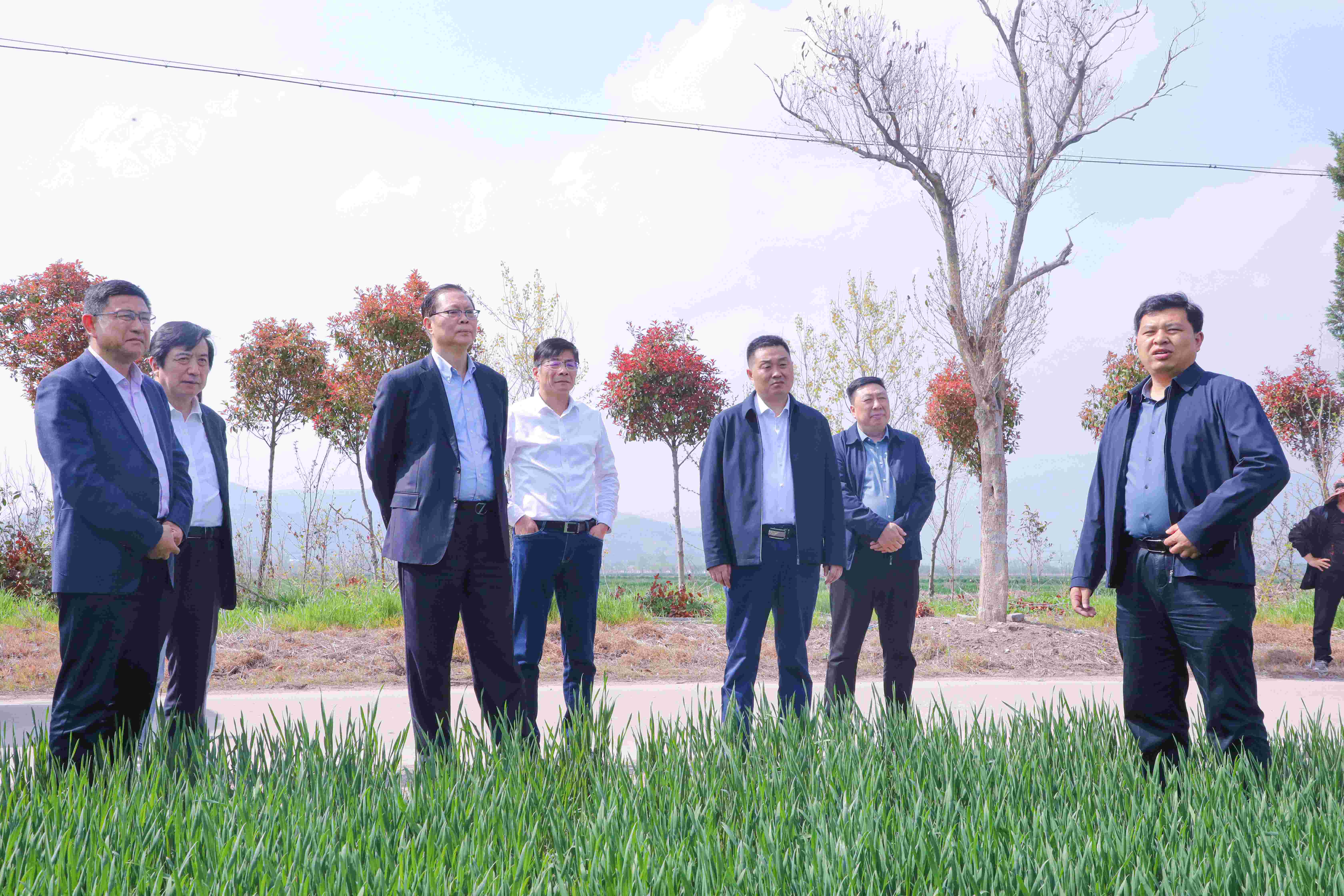 20240412 省农垦集团外部董事来云台农场调研(1).jpg