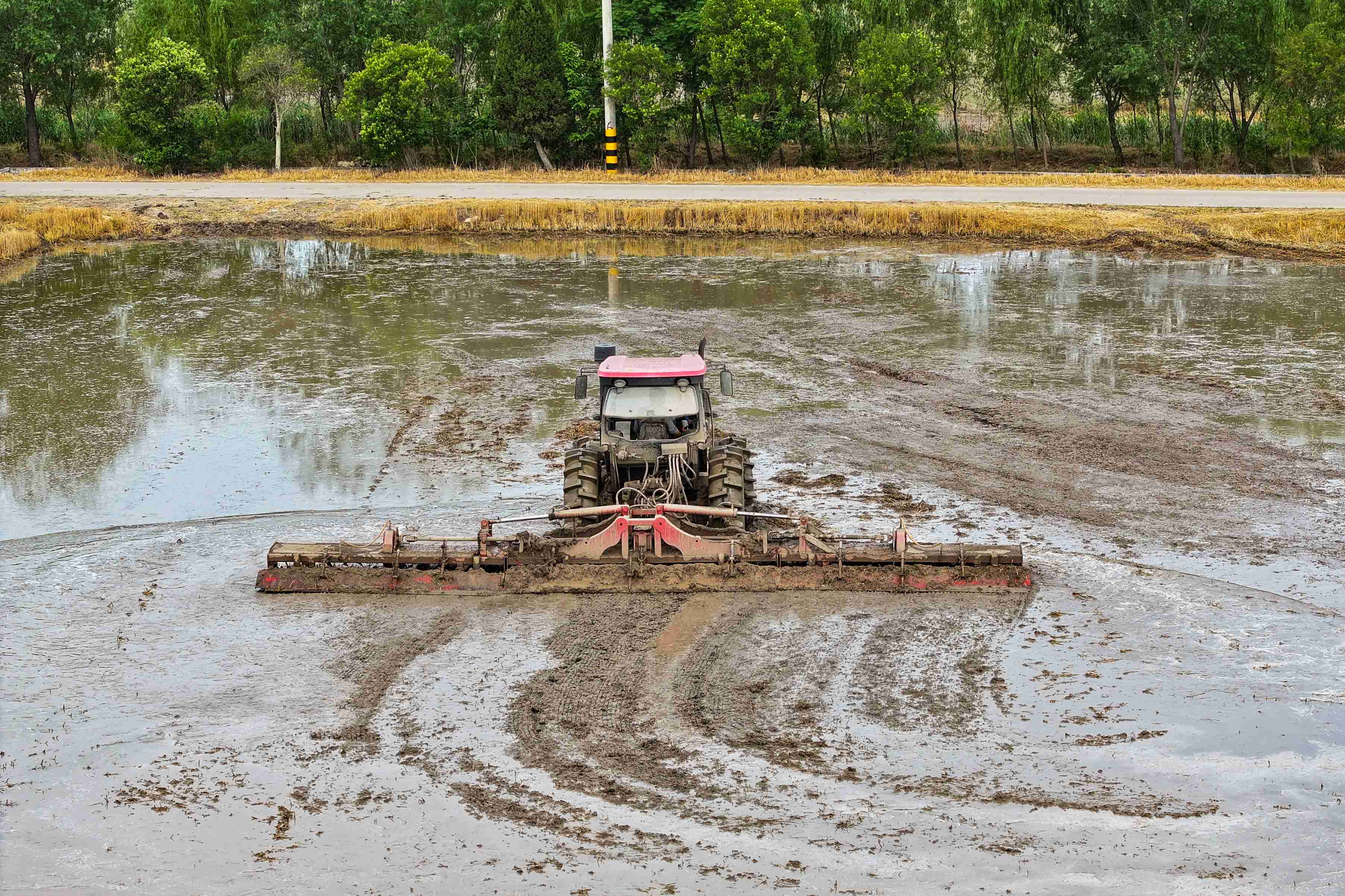 20240617 云台农场提前蓄水抗旱保苗(1).jpg