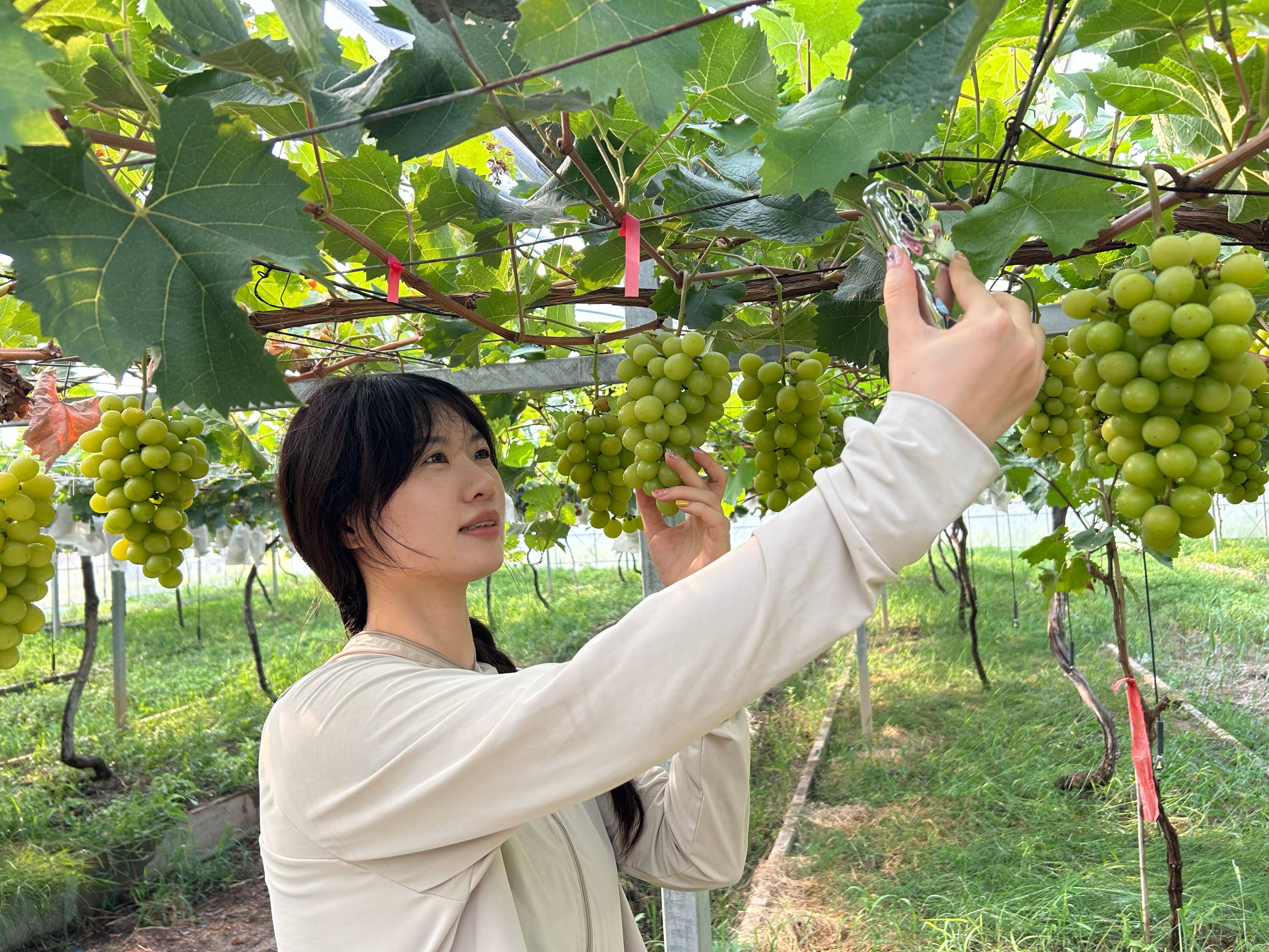 20240814 逐梦沃野，“新农人”成“兴农人”(1).jpg