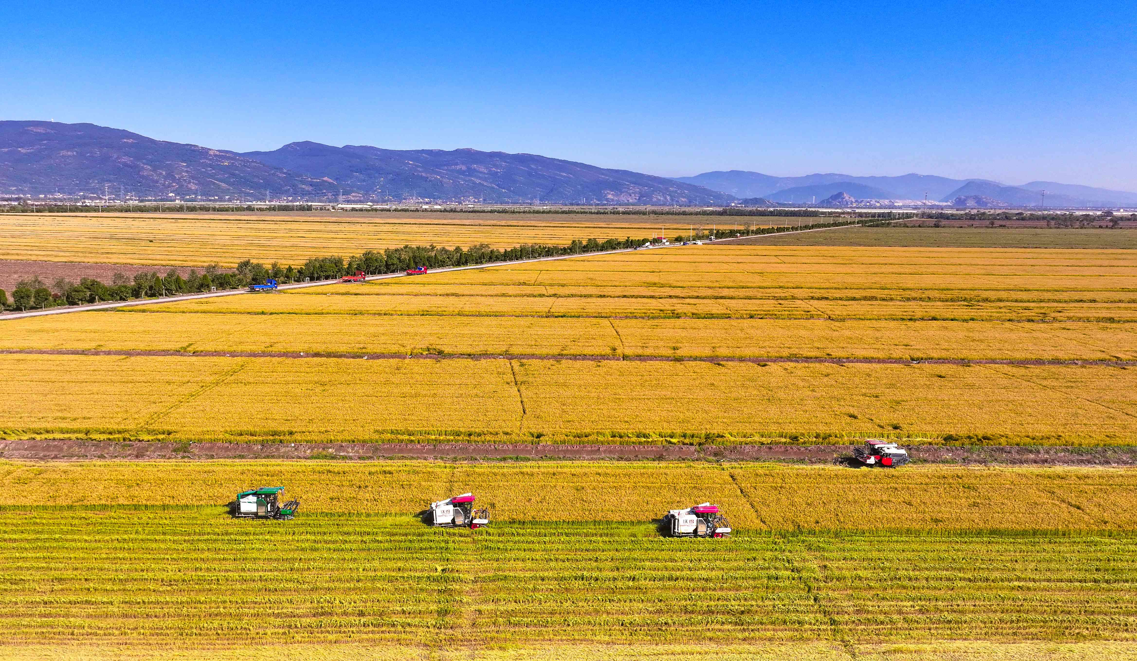 20241028 云台分公司召开“三秋”第三阶段工作推进会 (1)(1).jpg