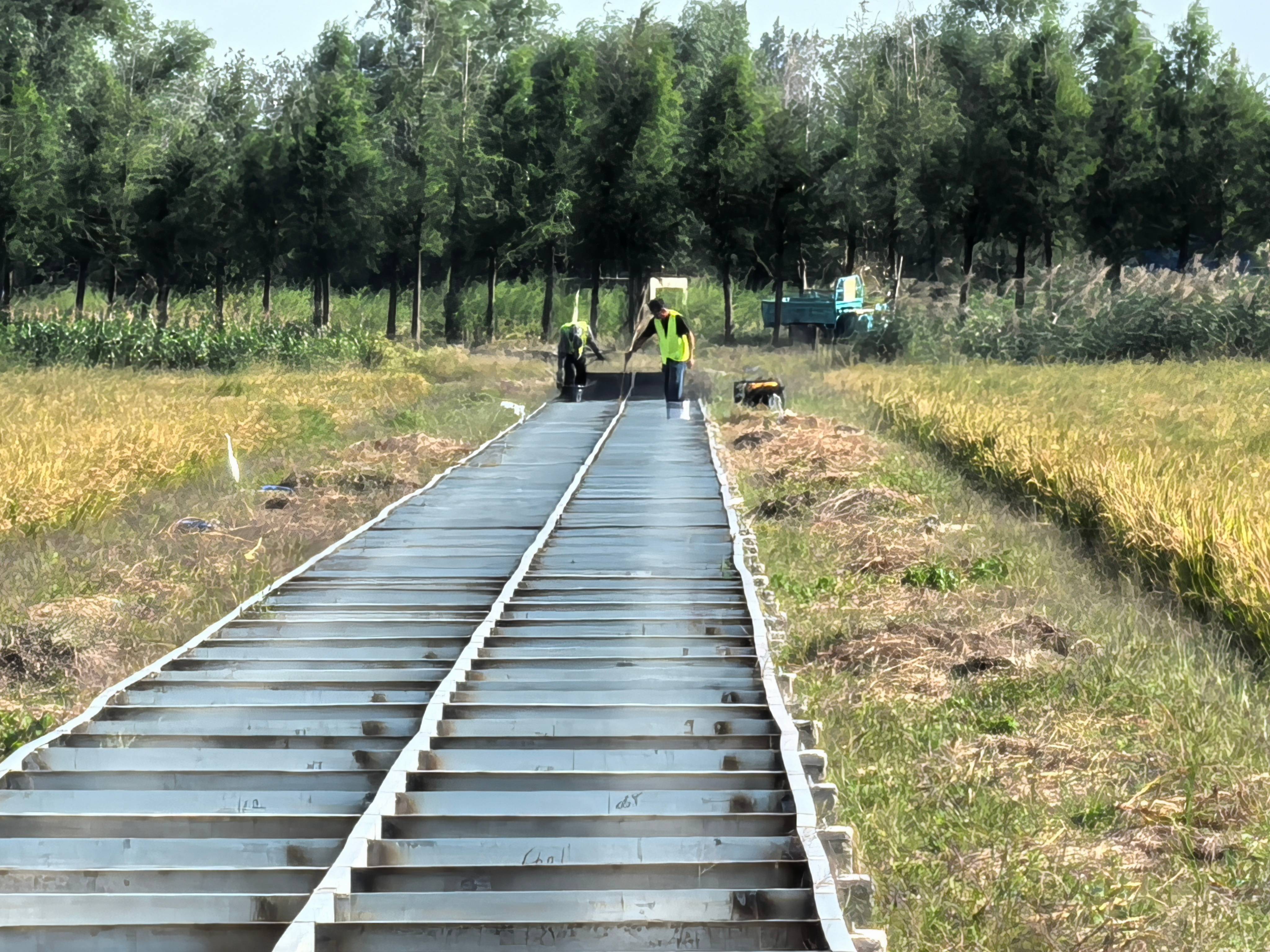 20241111 云台农场：强化耕地保护 推进土地整治(1).jpg