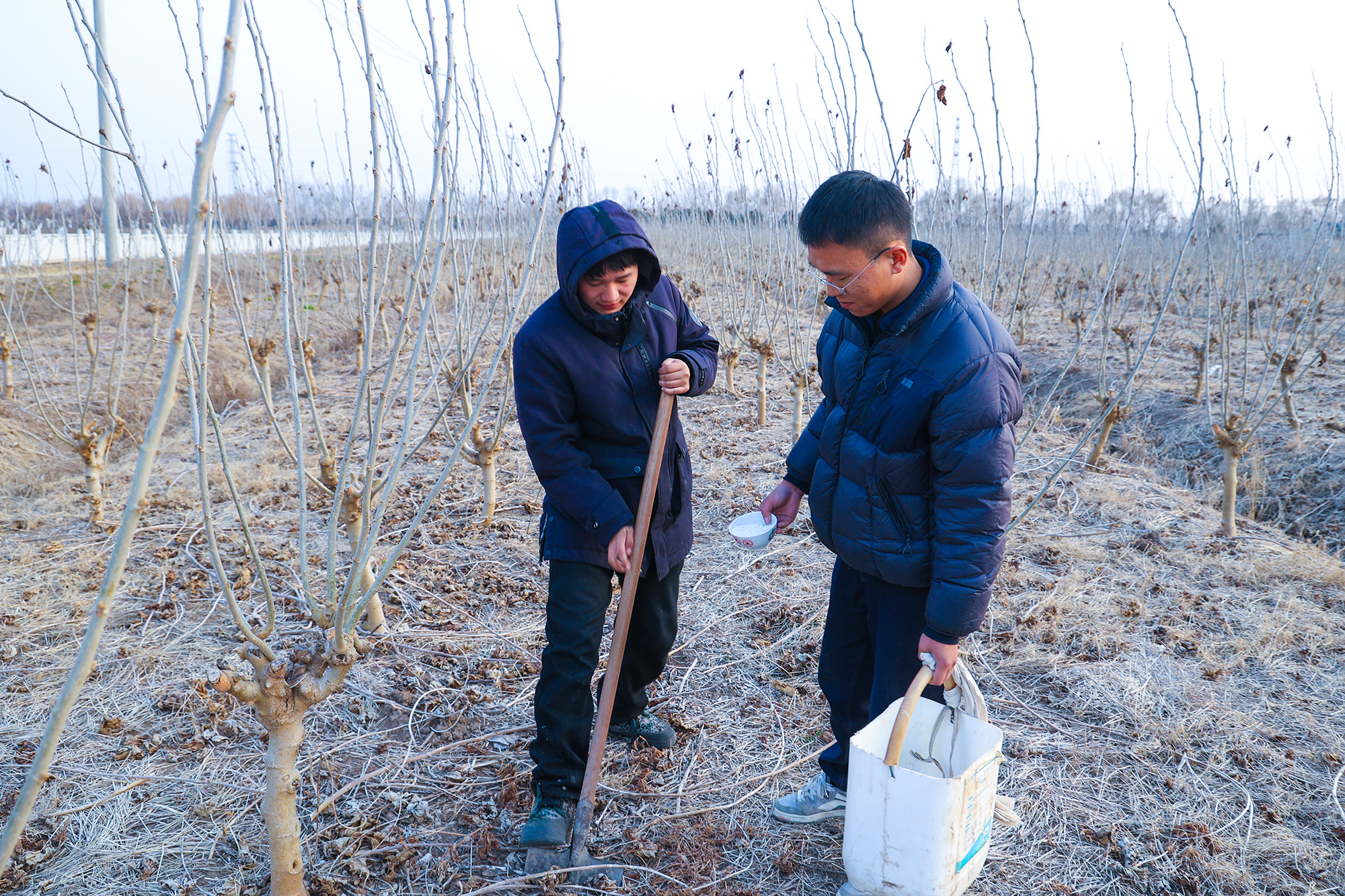 20250225 云水湾湿地公园：桑园春耕忙 静待“葚”果香（1）.JPG