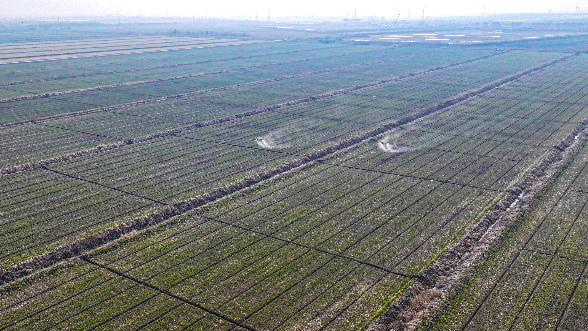 1740615990810661.jpg 云台:春潮涌动绘“丰景” (1).jpg