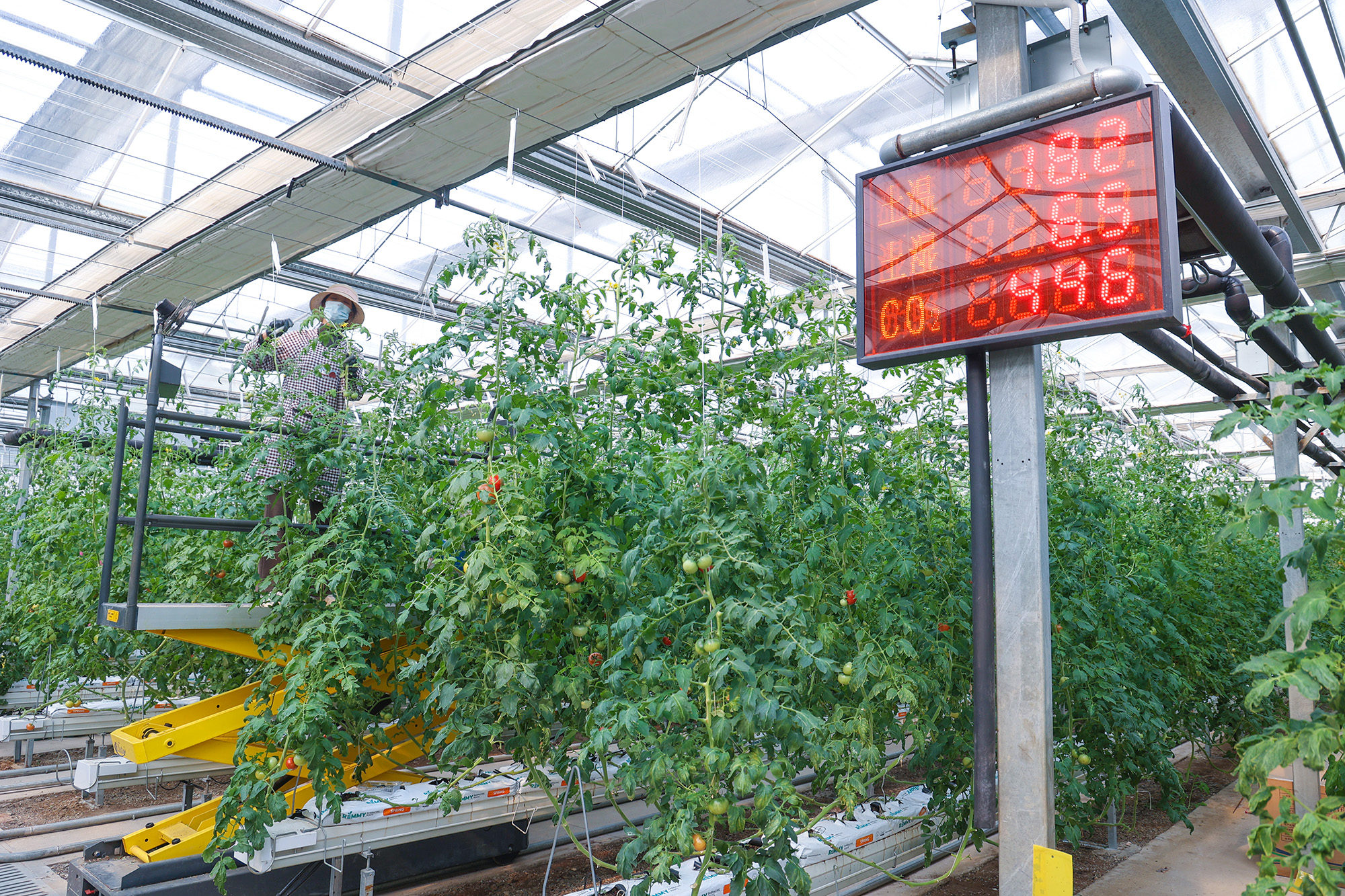 20250324 科技赋能 绘就云台“农旅”新画卷（2）.JPG