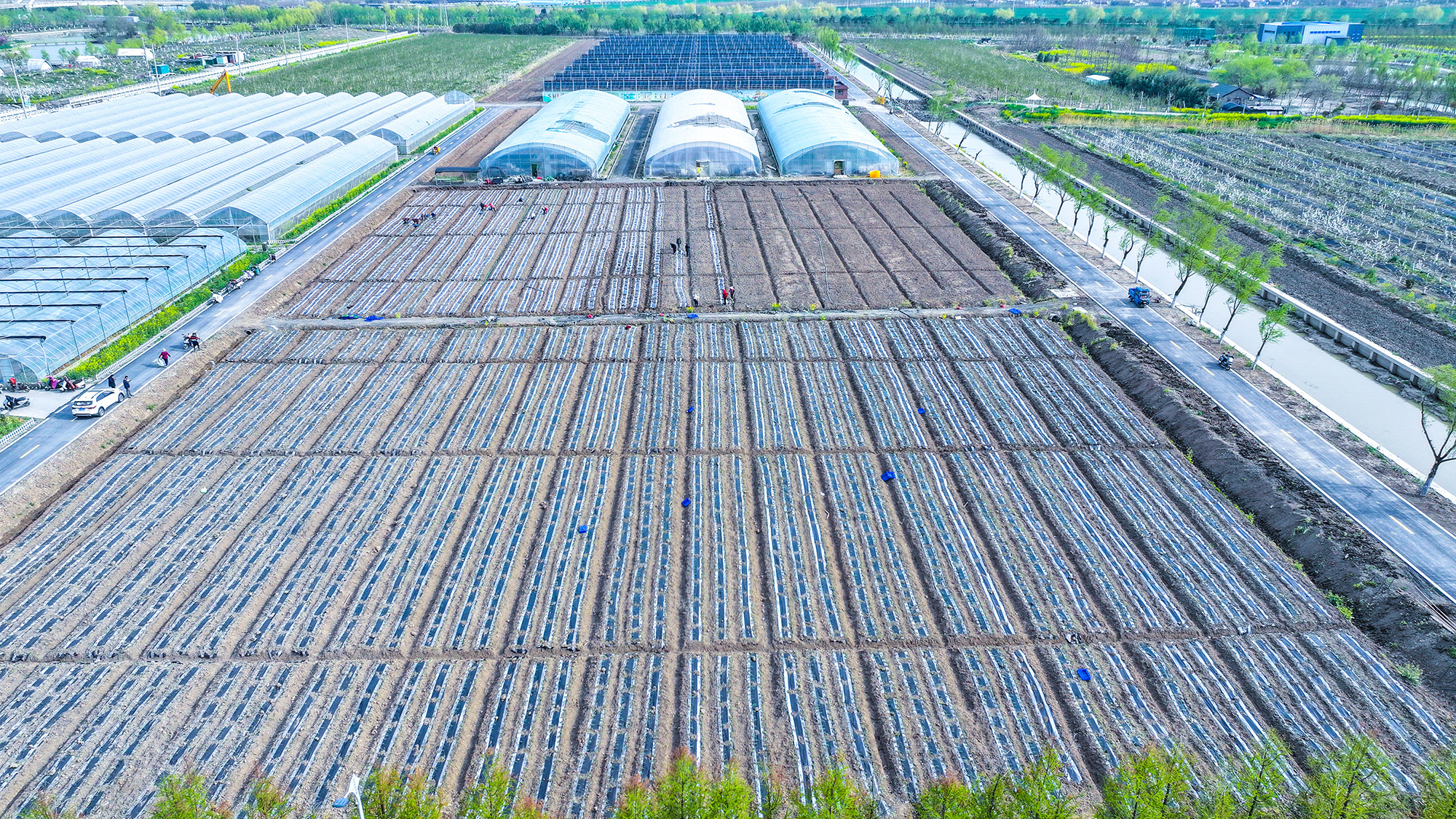 20250408 云水湾湿地公园抢抓农时 15亩甜糯玉米开启春日播种 (2).JPG