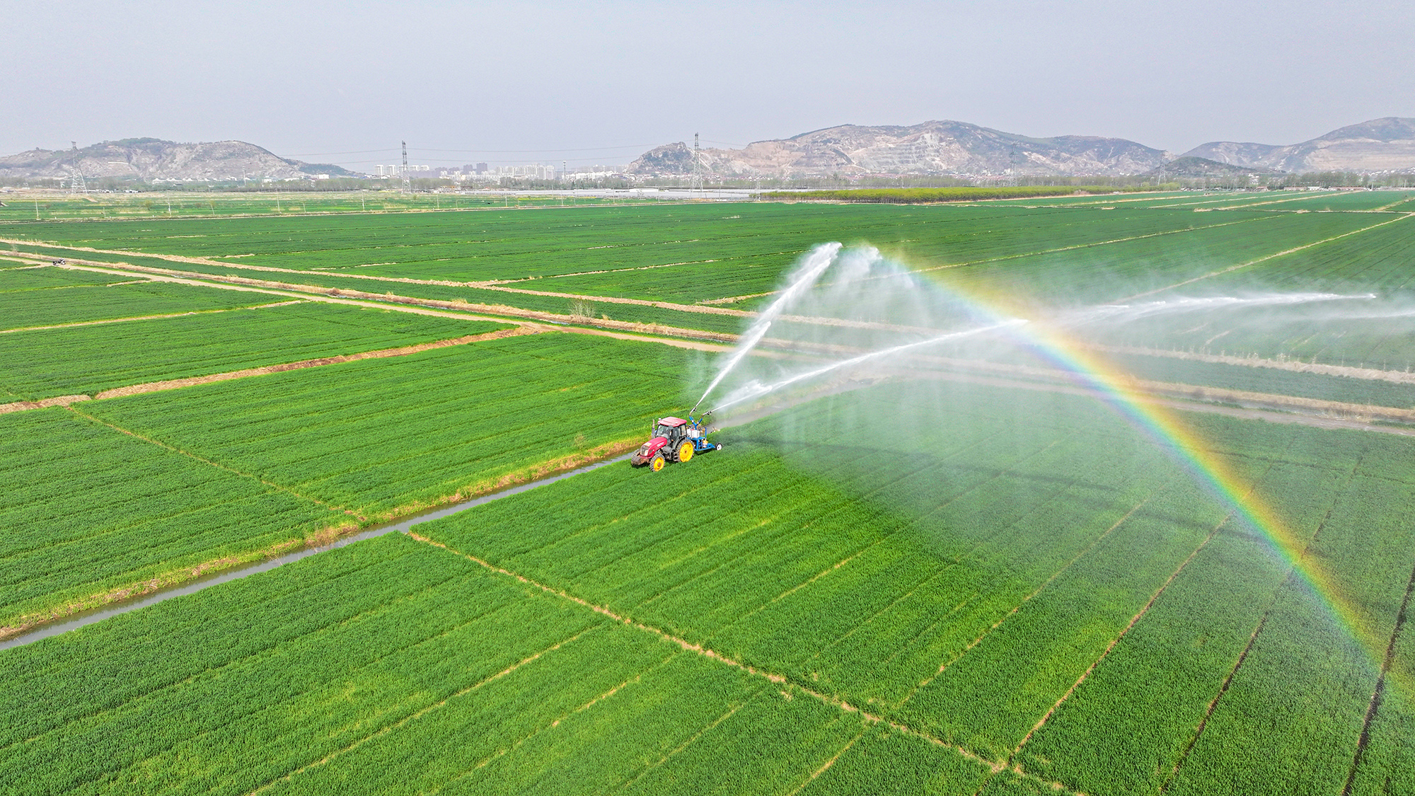 20250409 云台：喷灌机麦田洒下彩虹 助力小麦丰产丰收 (1).JPG