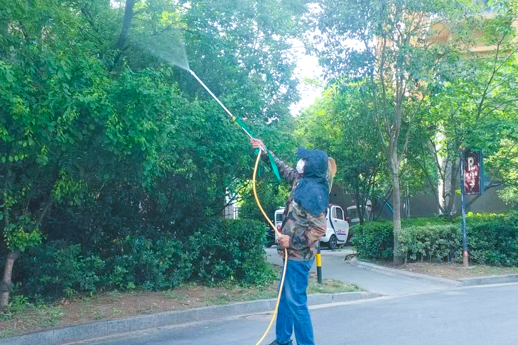 20250512 华泰物业携手林业中心开展病虫害消杀，守护小区绿化环境（1）.jpg
