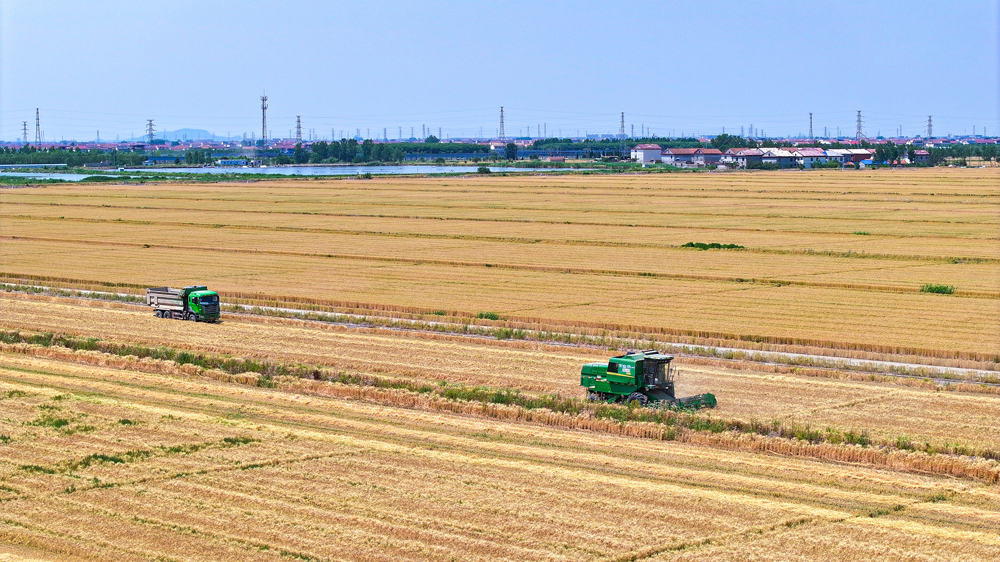 1748568010351393.jpg 20250529 科技助力“三夏”开启“加速度” 广袤田野唱响丰收赞歌 (1).JPG