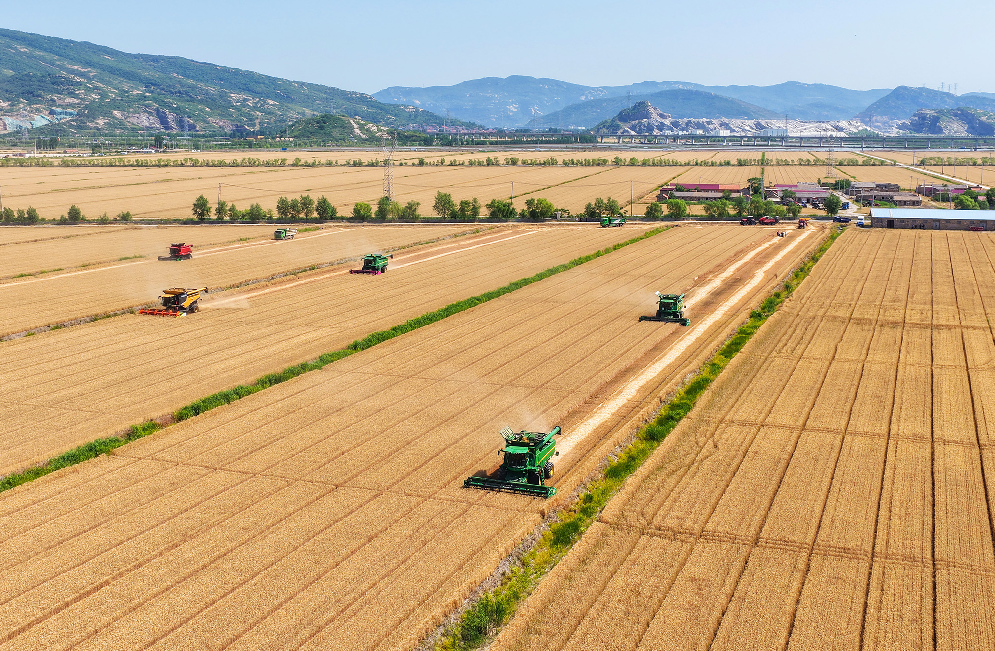 20250609 云台多措并举加强场头管理确保“三夏”有序推进 (1).jpg