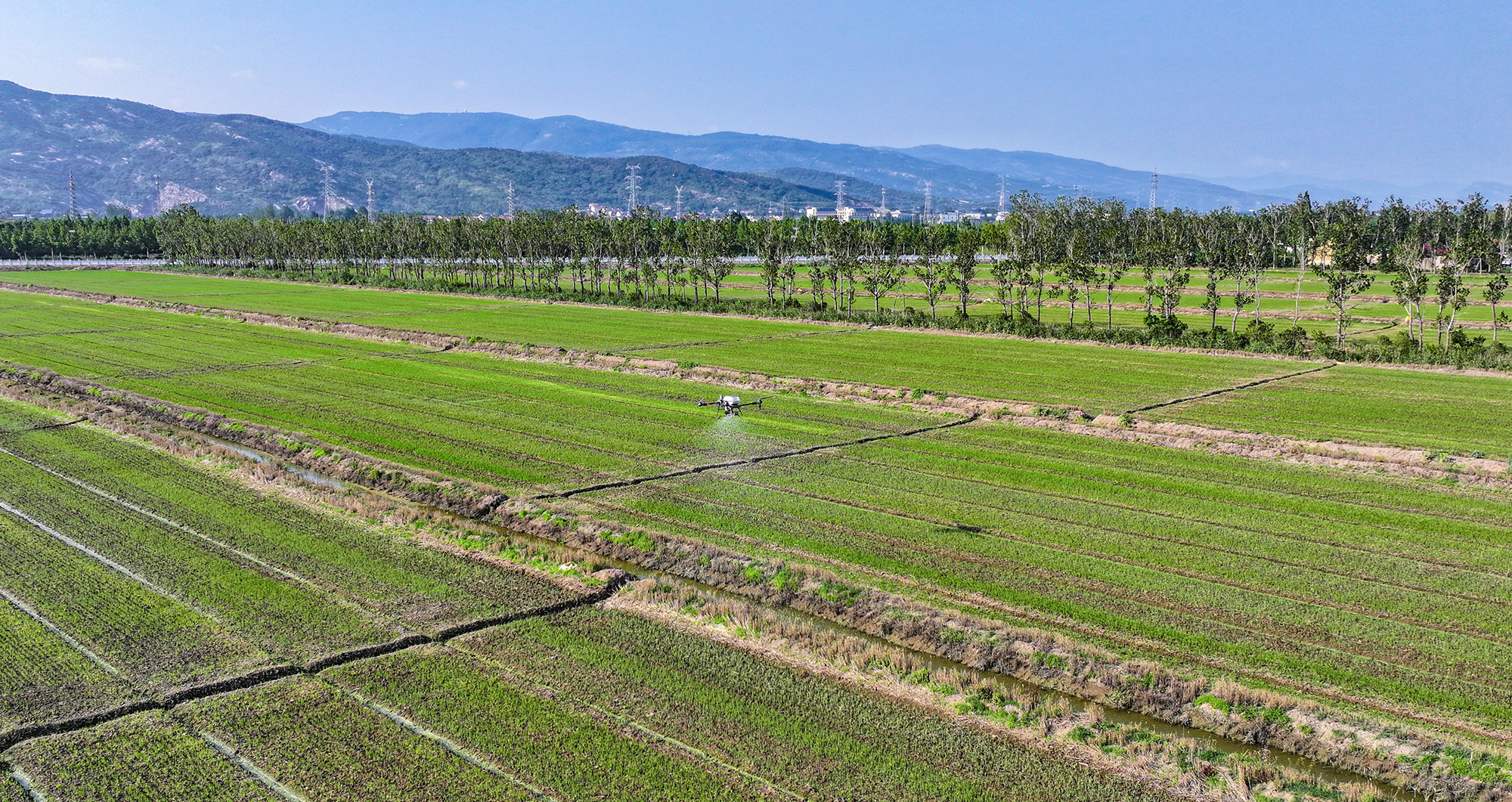 1752456127396846.jpg 20250711 云台农场:智慧夏管 科技赋能稳产增效 (2).JPG
