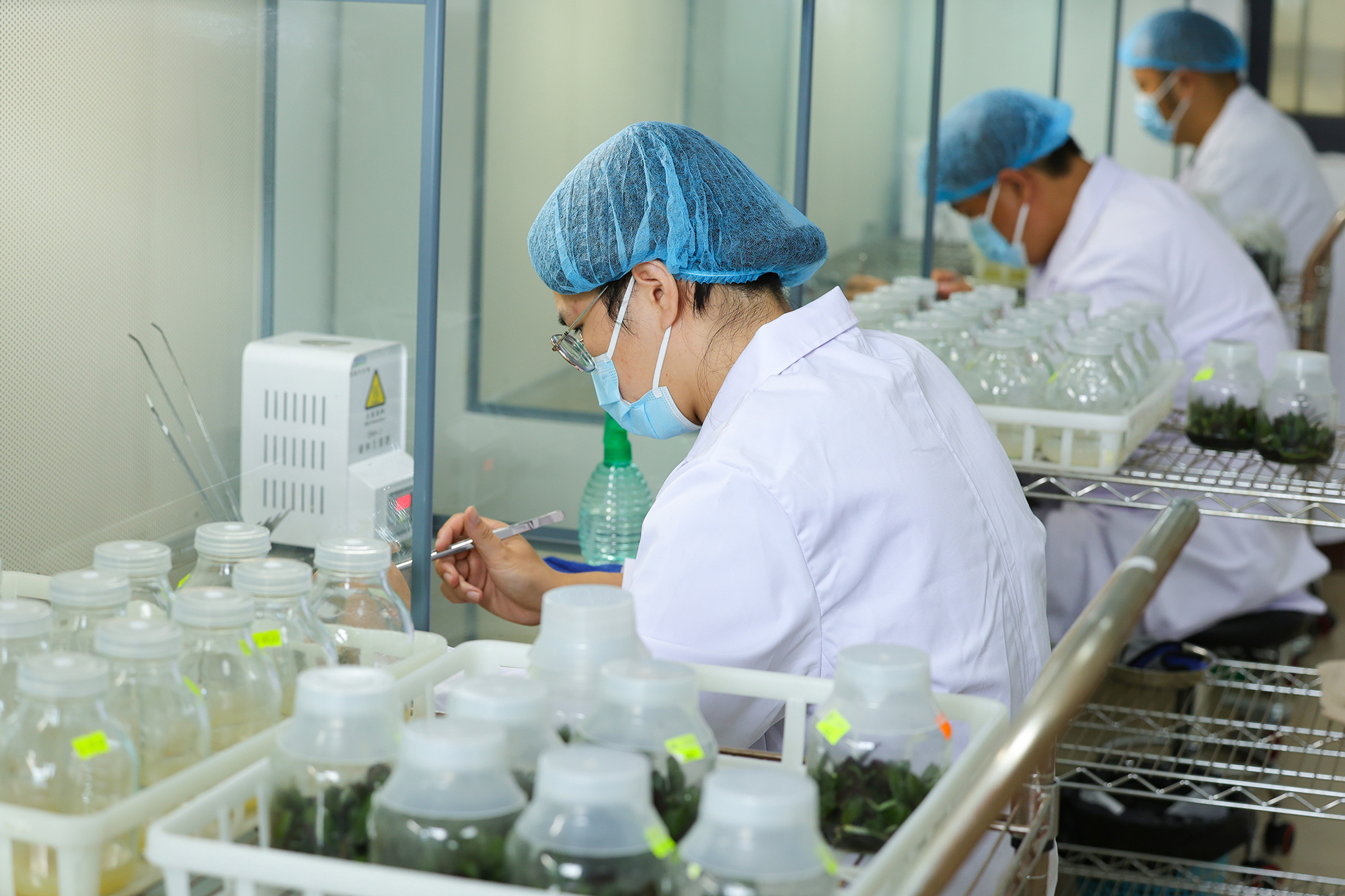 1752456450200627.jpg 20250711 云台农场:在玻璃瓶里“养花种草” (1).JPG