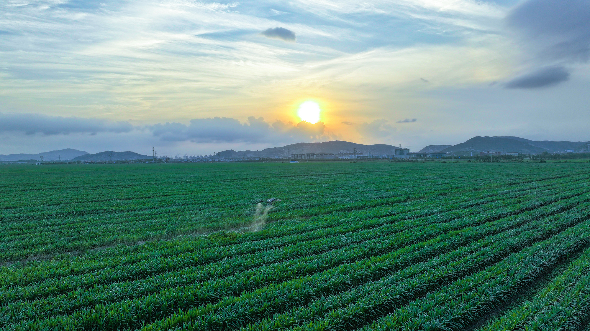 1753425939640736.jpg DJI_20250723183751_0021_D.JPG