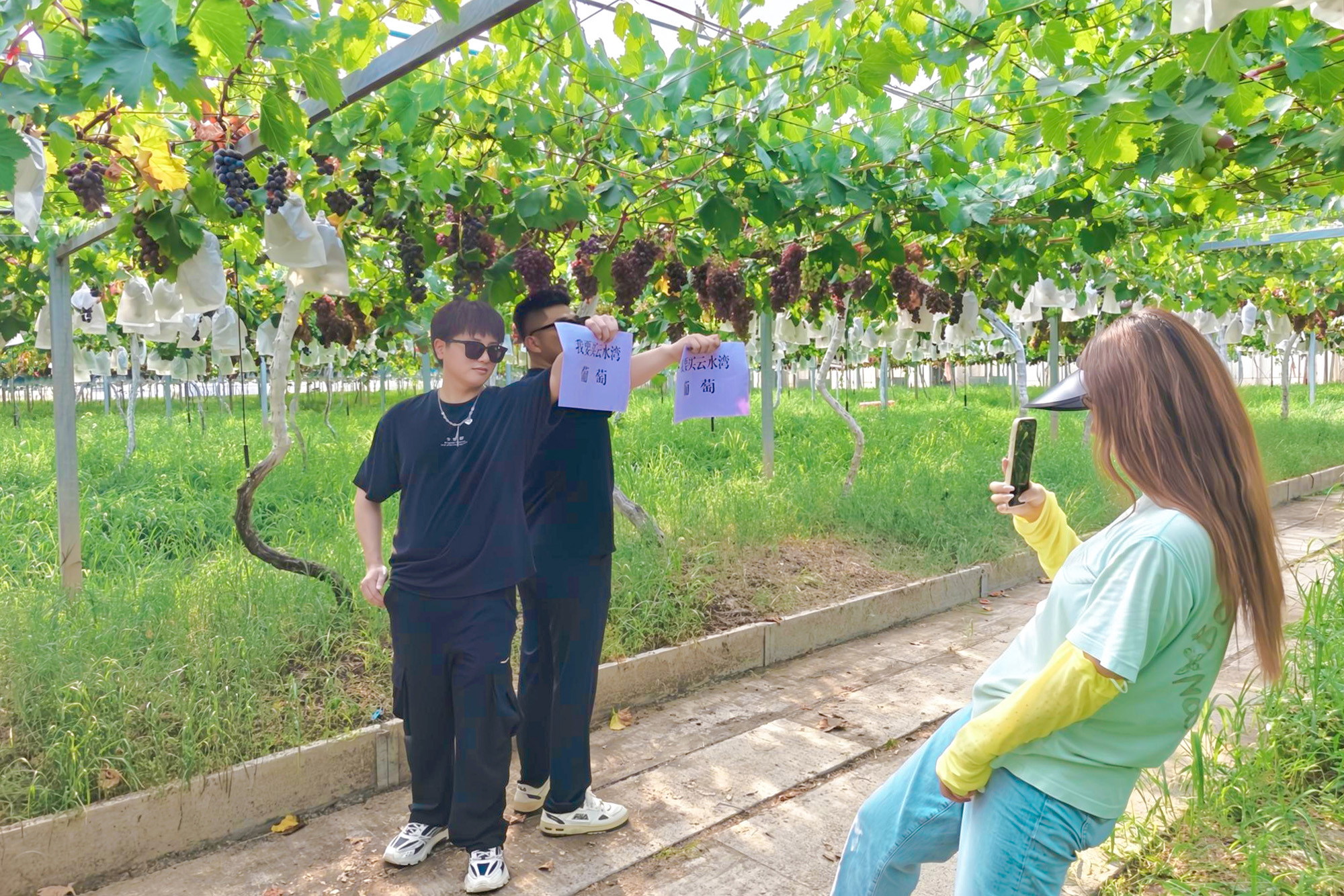 1755155107481755.jpg 20250813 打造短视频爆款!云台农场的 “流量密码” 不简单 (1).jpg