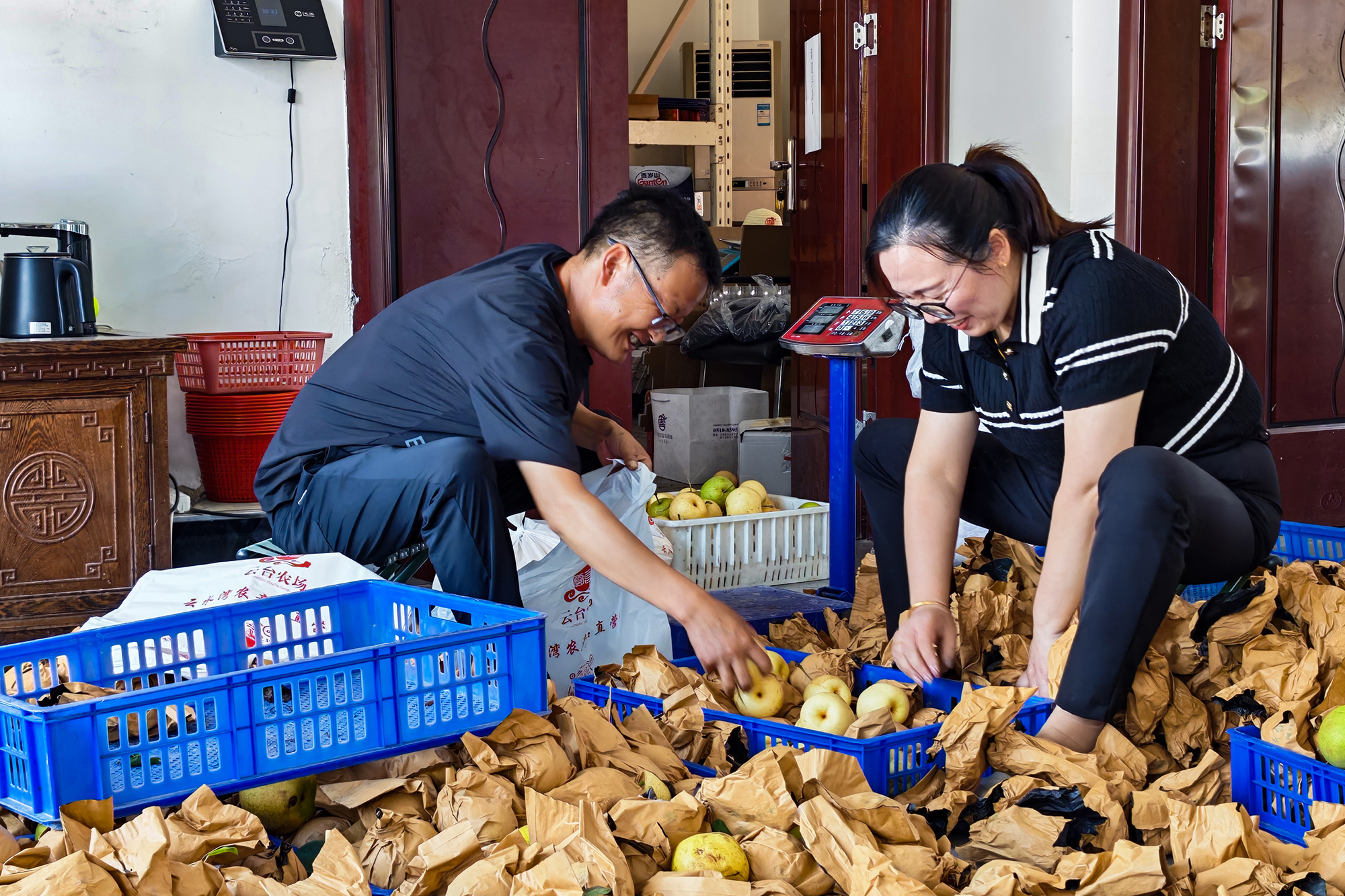 1755823945755558.jpg 20250821 筐里装满“金疙瘩”!云水湾甜梨卖得快、身价涨,甜到跺脚! (2).jpg