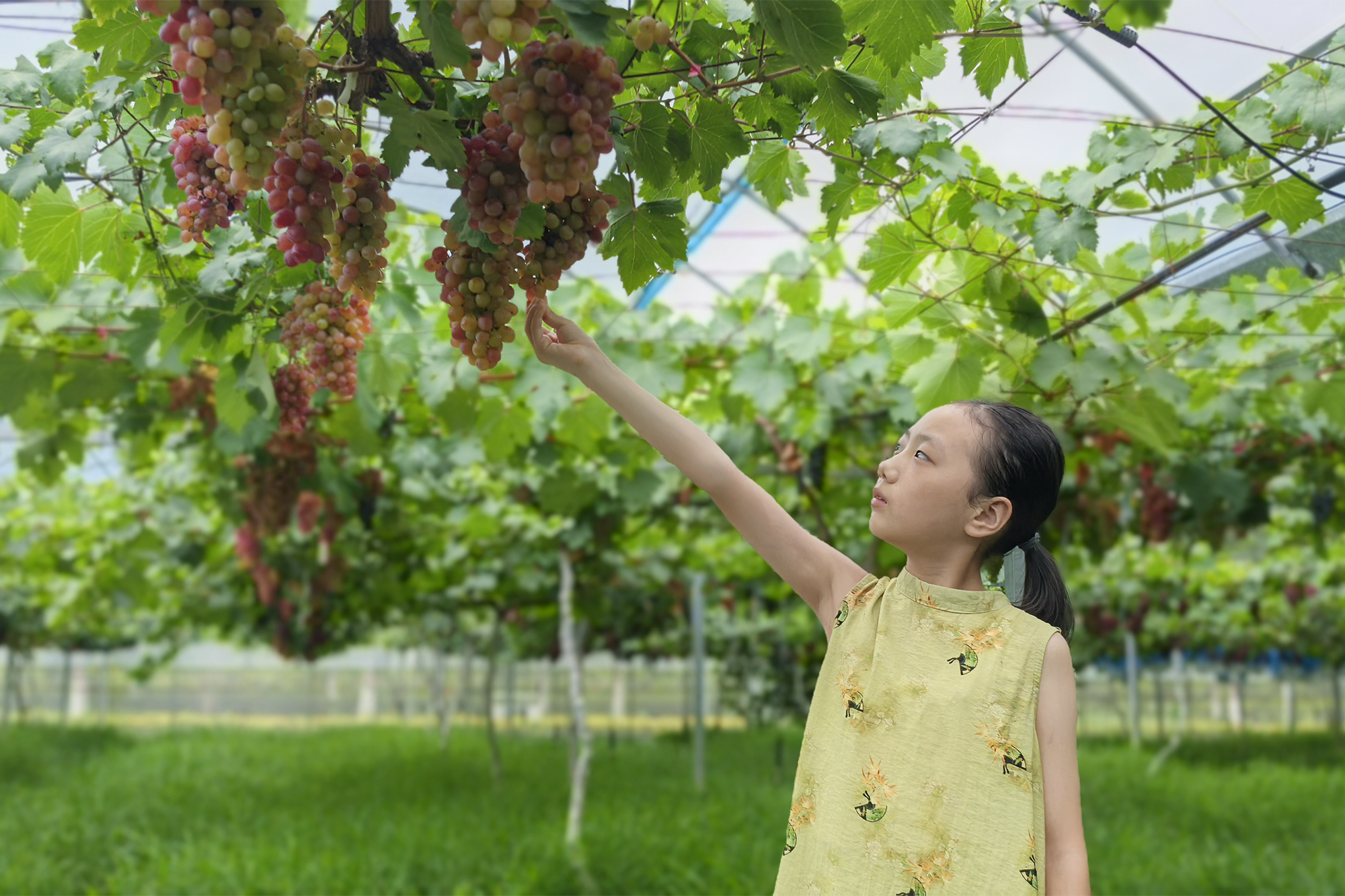 20250822 女儿笔下的云水湾 (1).jpg