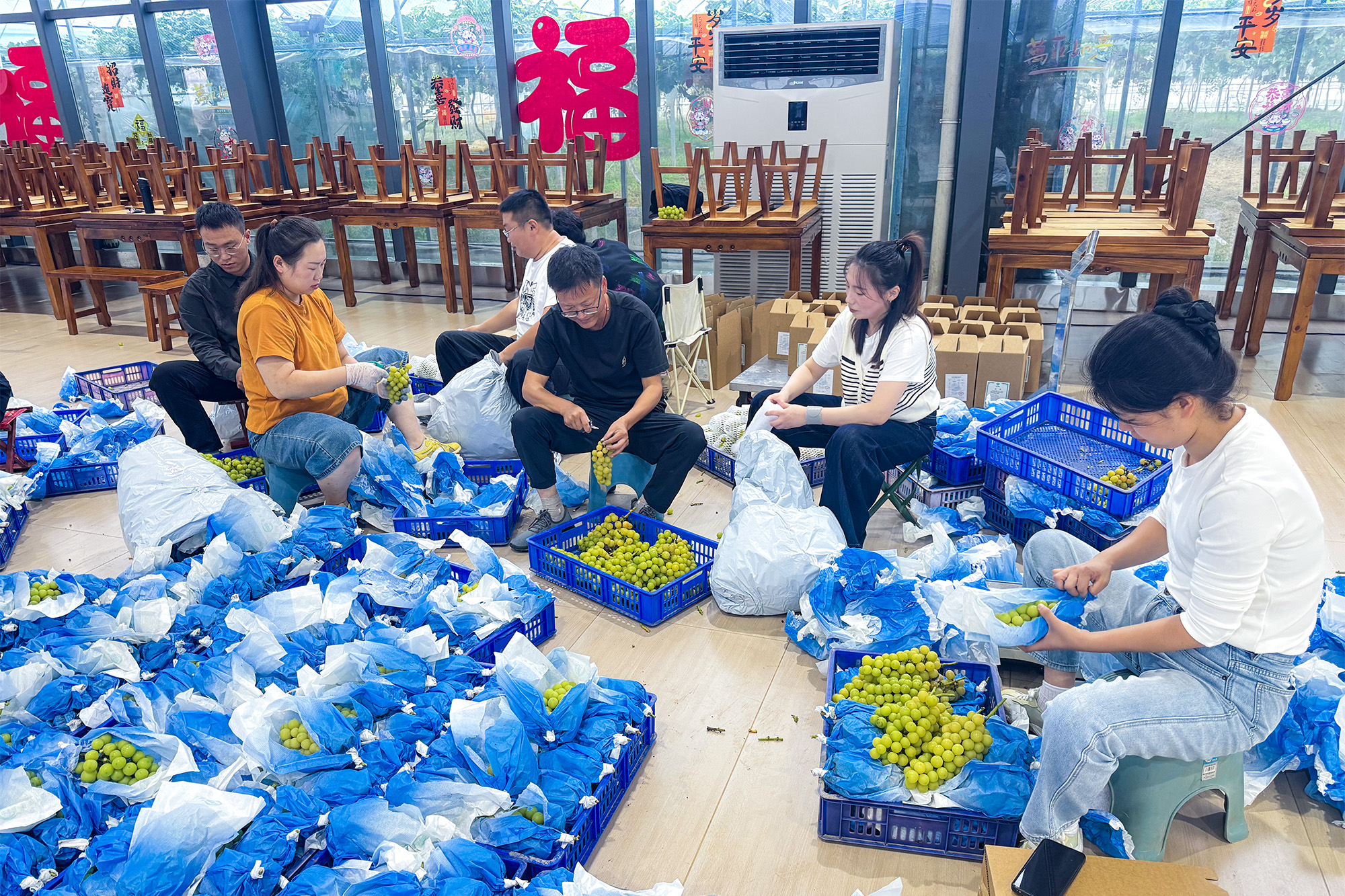 20251001 云台农场双节“果盘子”“菜篮子”货足味鲜.JPG