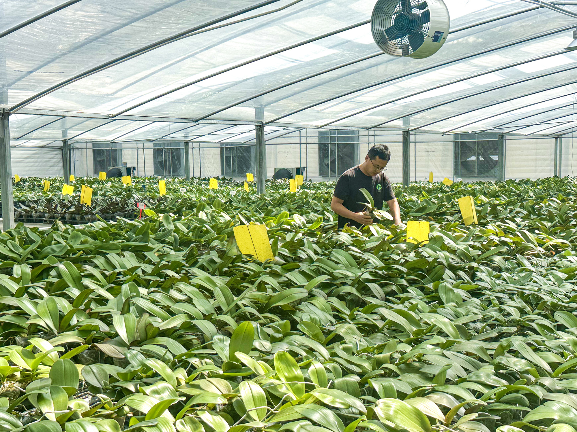 1759977033728597.jpg 20251002 国庆坚守第一线 履职担当显本色.jpg