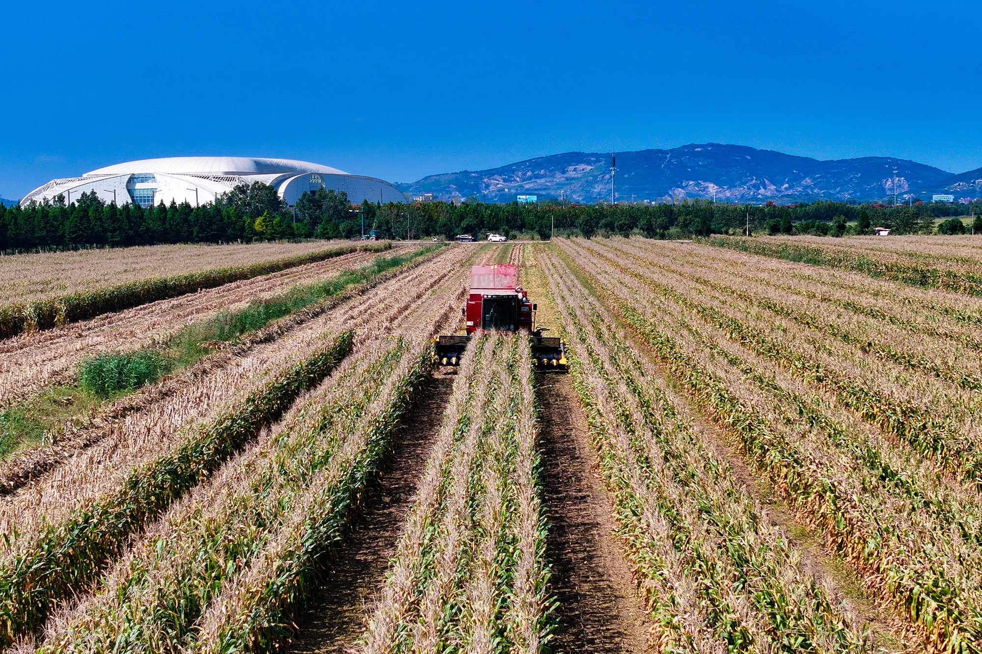 1760059503514004.jpg 20251009 云台“三秋”战斗全面打响 (2).JPG