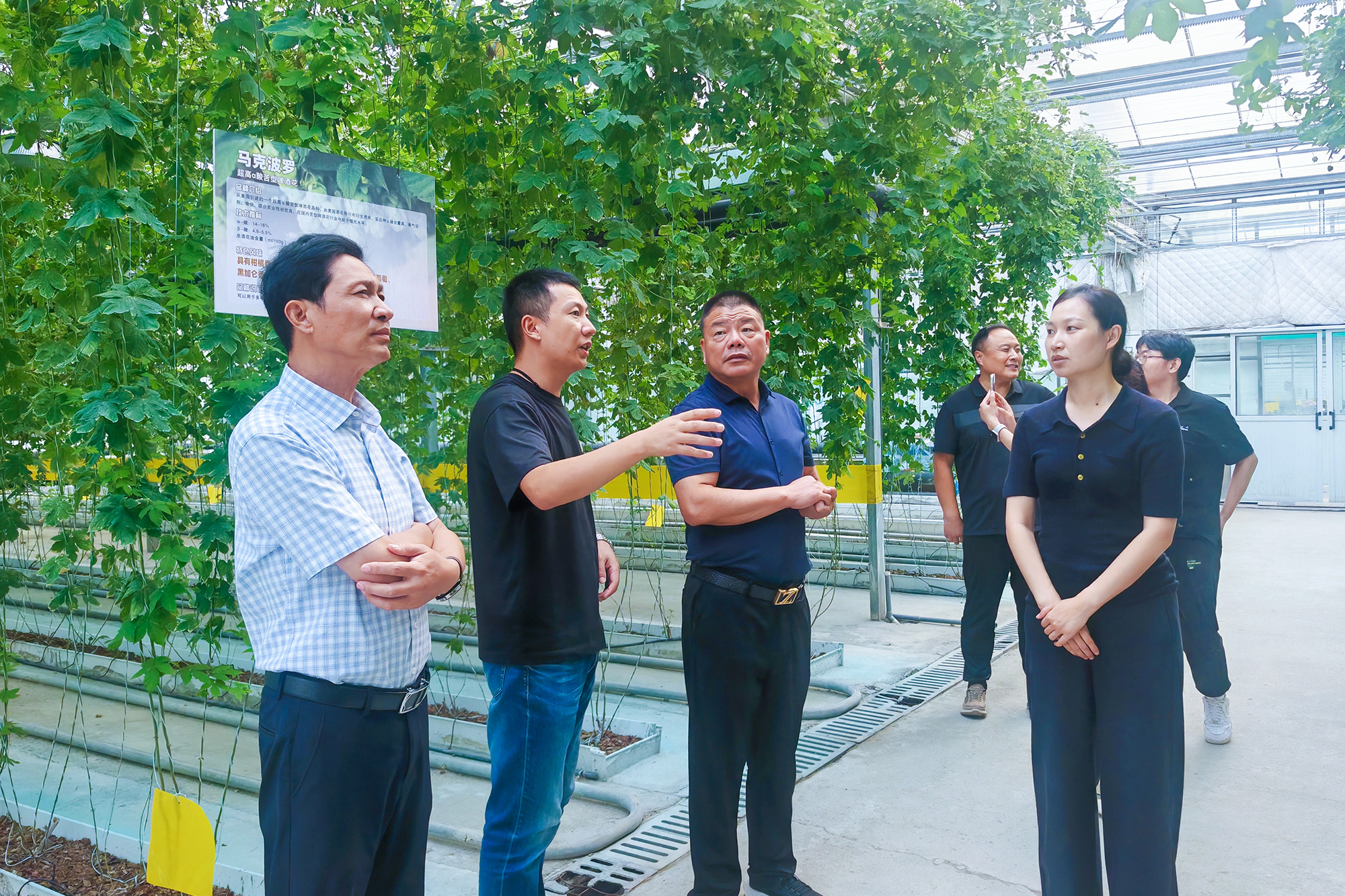 20251011 海州区南城镇到云台农场产业发展 (2).jpg