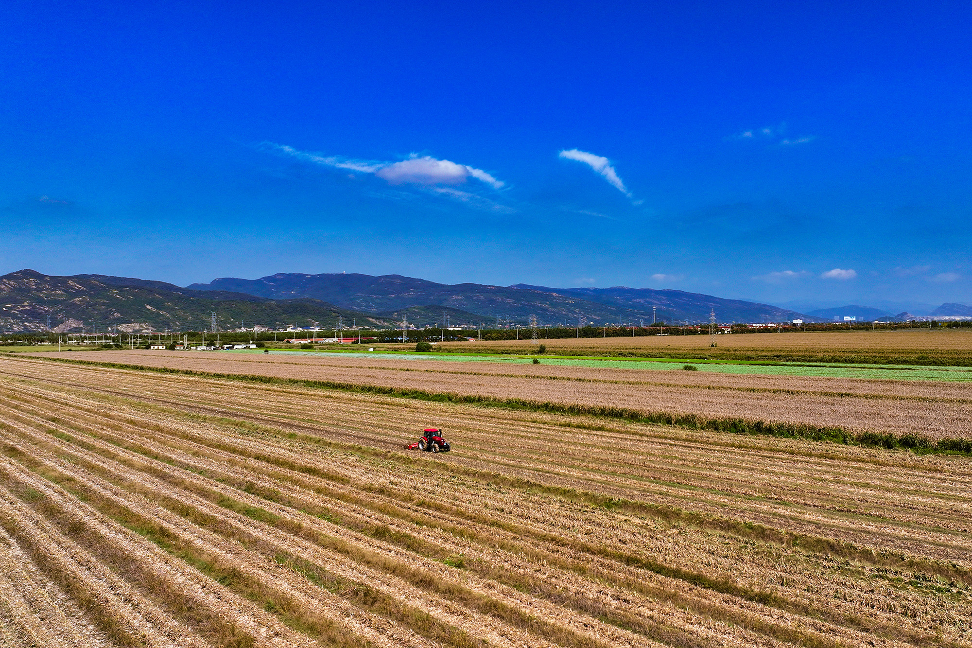 1761094806362027.jpg DJI_20251009113532_0029_D.JPG