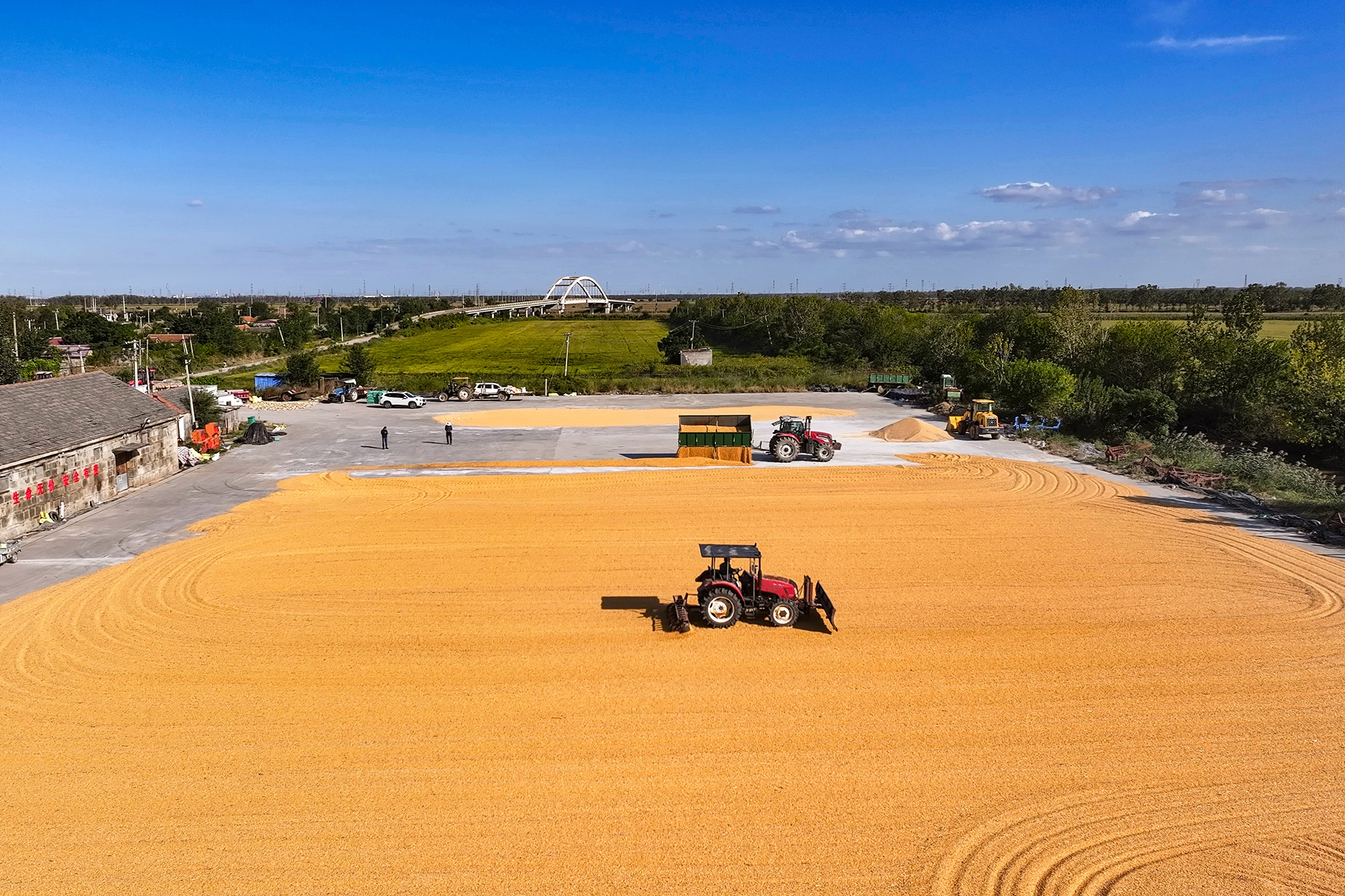 1762217461872435.jpg 20251103 云台农场秋收工作完成,进度条见证“粮”辰美景 (1).jpg