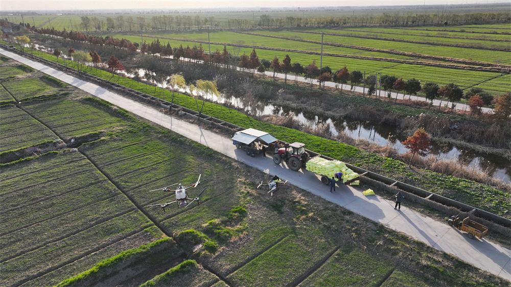 1765328663221622.jpg 20251209 云台农场: 科技赋能 管出冬麦好“丰”景 (1).JPG