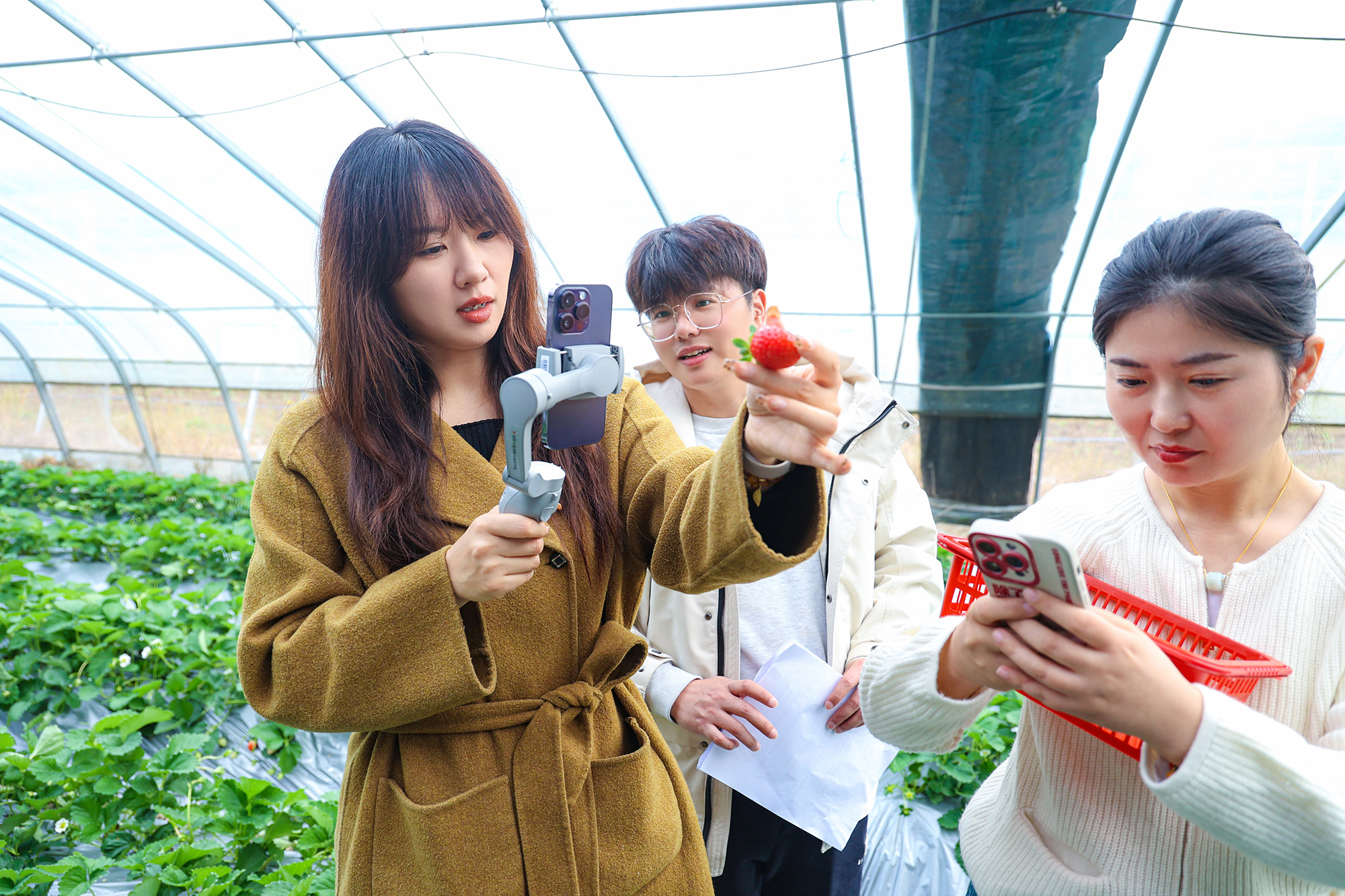 20251218 金牌推荐官 叶倩雯：从田间到云端，“新农人”的直播逐梦路（1）.jpg