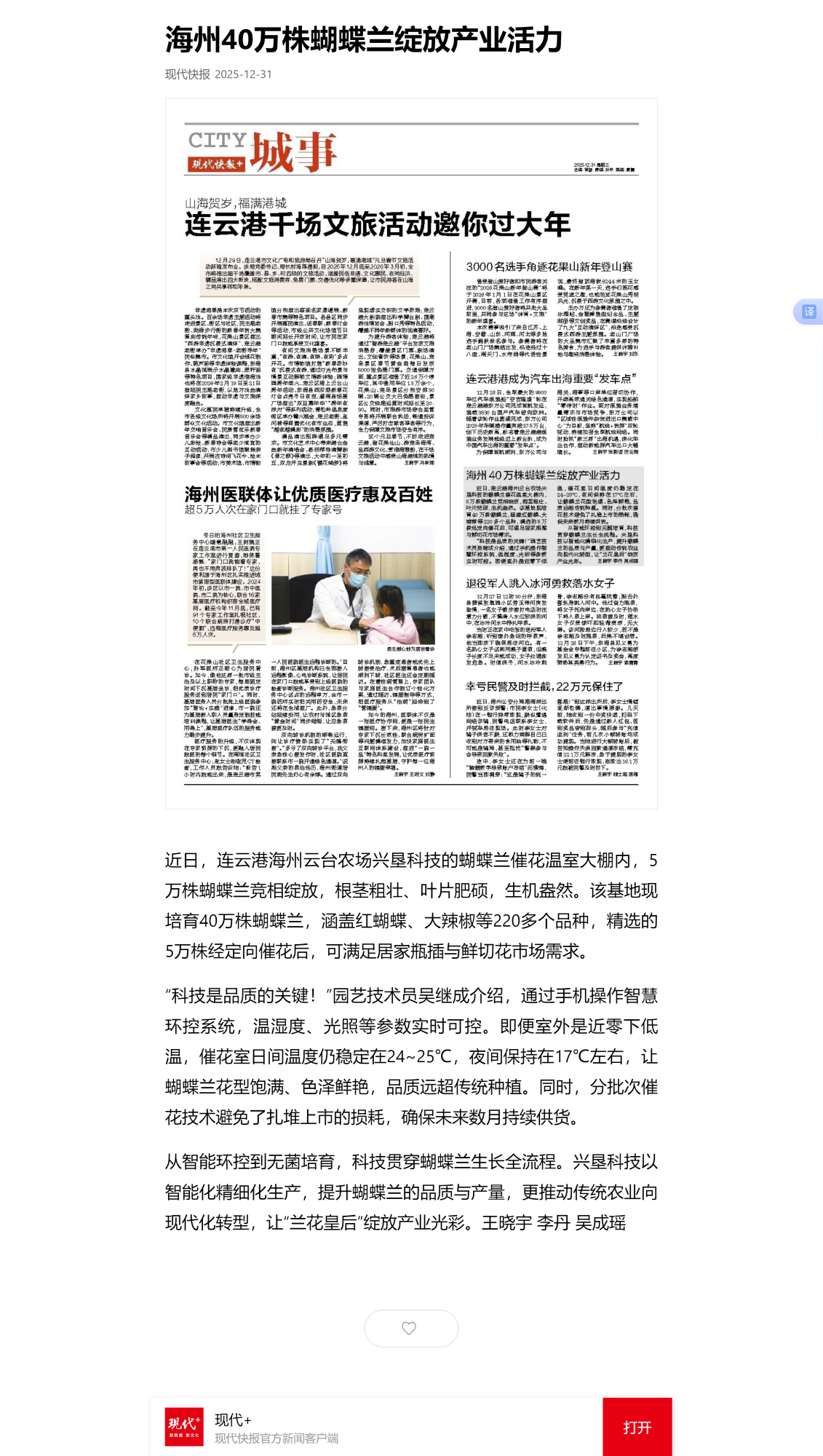 12.31吴成瑶-现代快报 海州40万株蝴蝶兰绽放产业活力.png