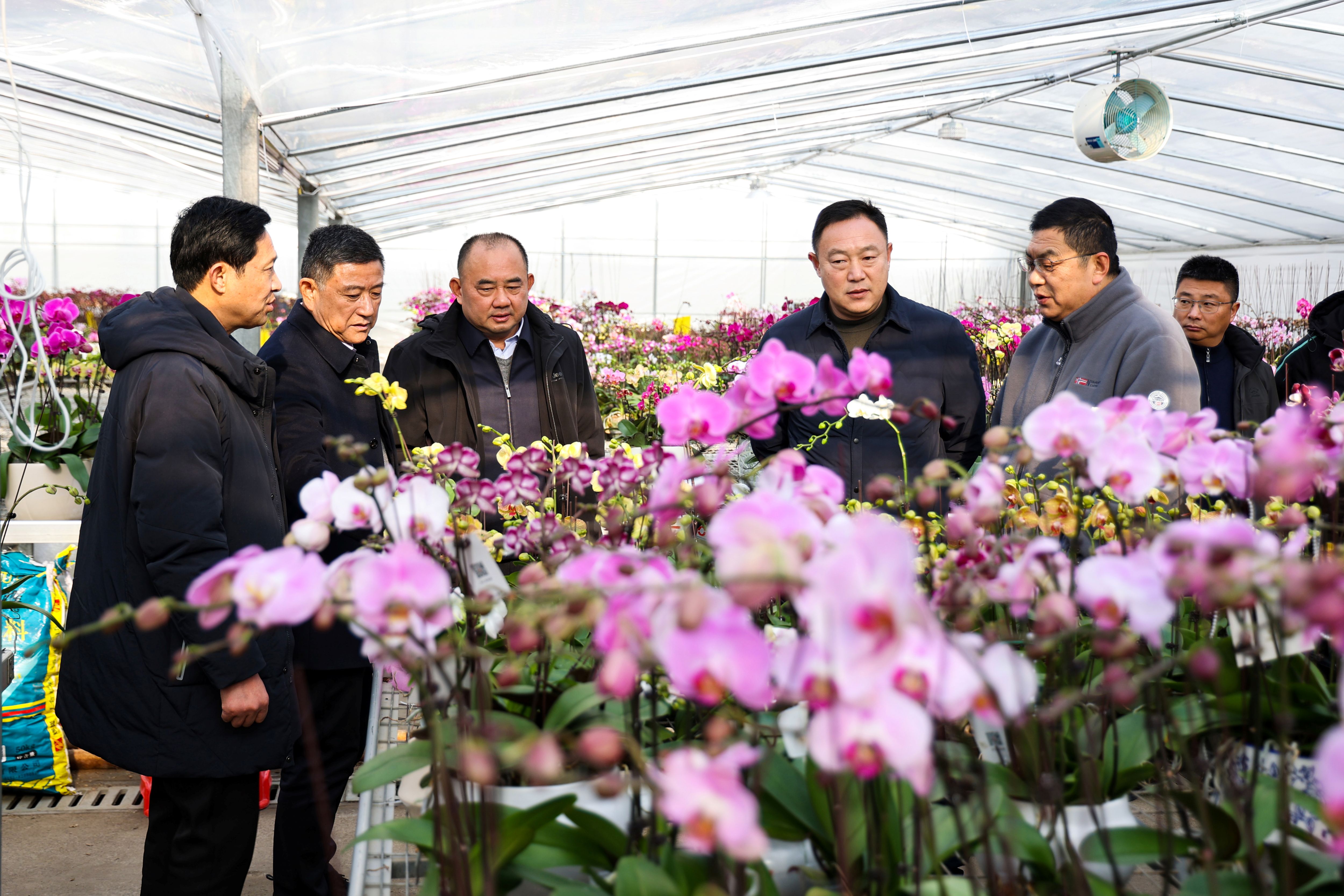 20260108 淮海农场一行来云台农场参观调研 (1).JPG