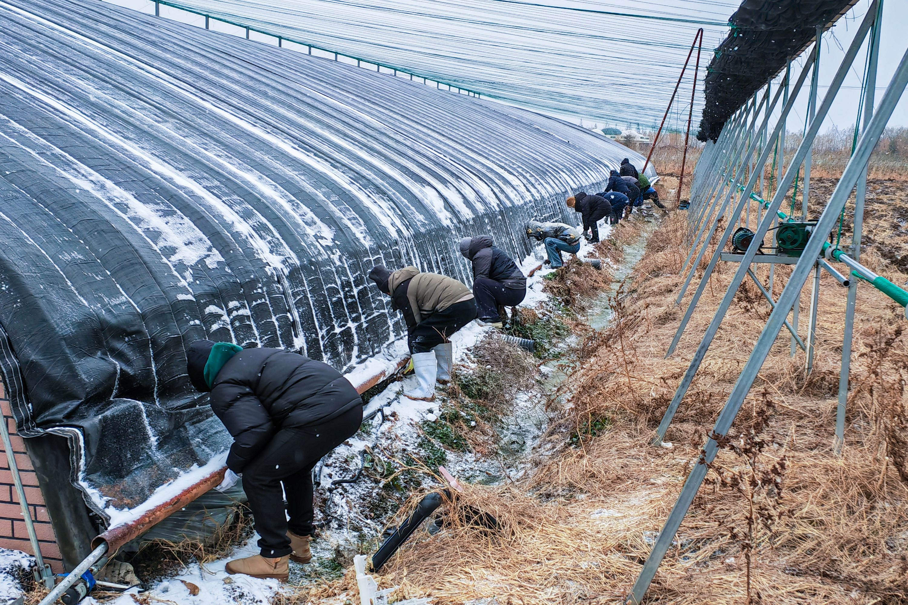 20260119 云水湾打出防寒“组合拳” 科技赋能保障果蔬温暖过冬 (2).jpg