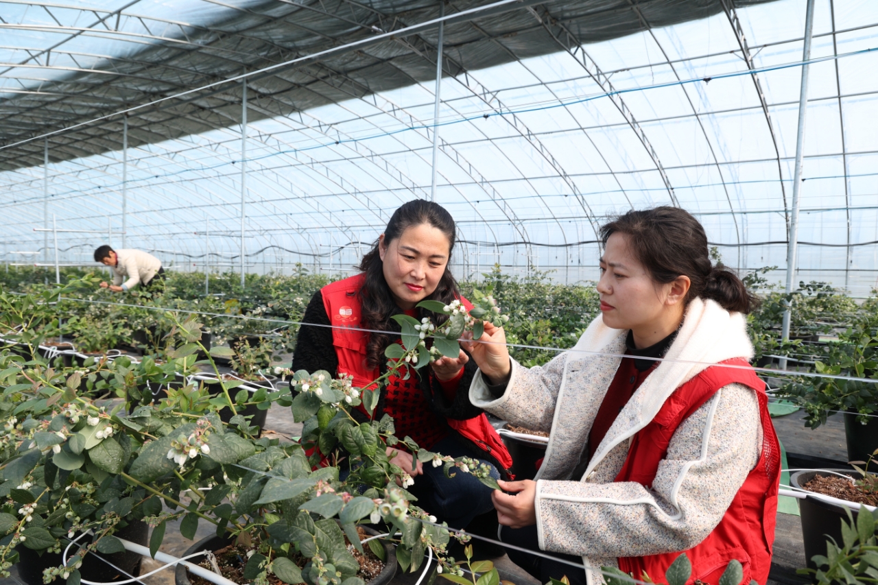 1771894956346248.jpg 7d202b071d6f5de82903be1127df840a.jpg