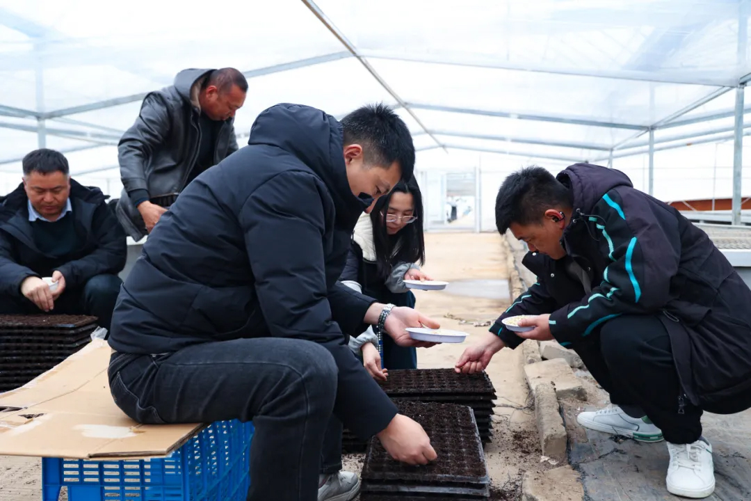 20260318 万象“耕”新！云台甜糯玉米育苗正当时.jpg