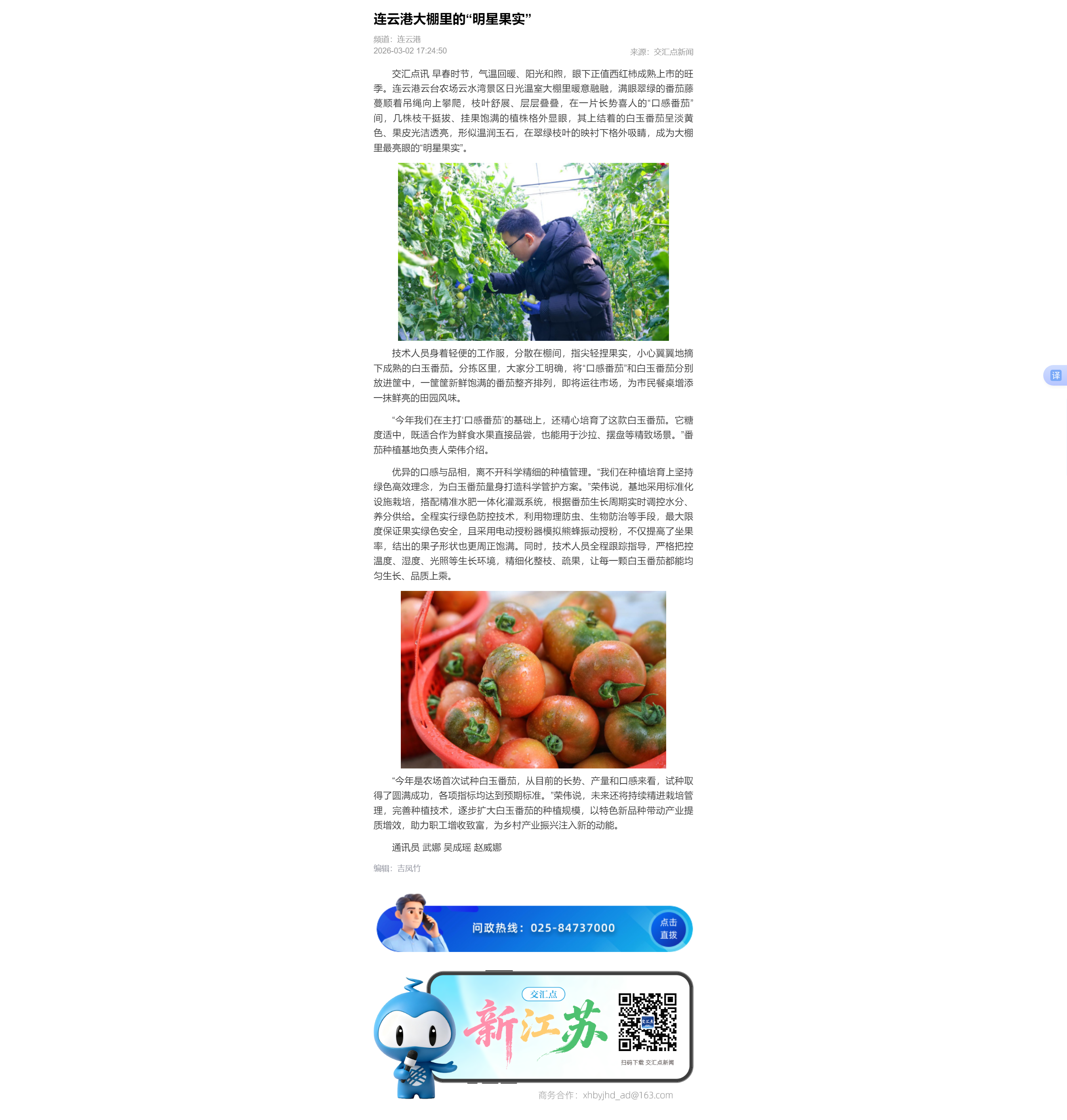 3.2吴成瑶-交汇点 连云港大棚里的“明星果实”.png