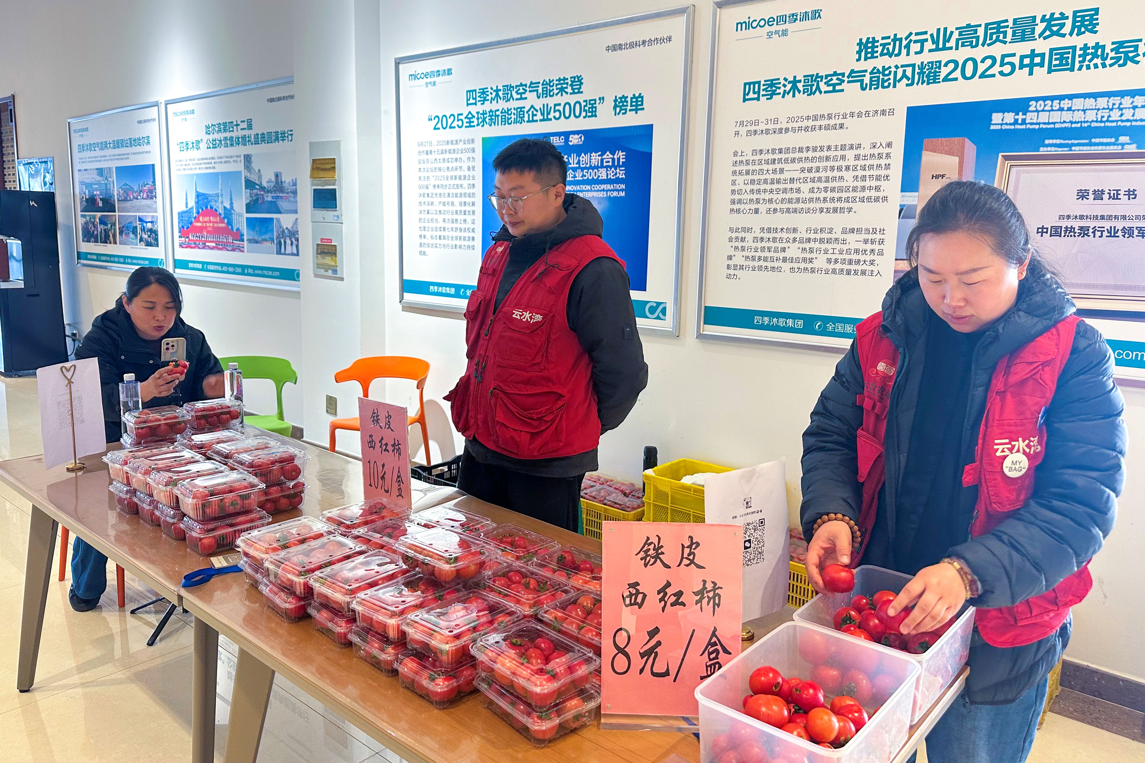 20260325 云水湾西红柿走进太阳雨 (1).jpg