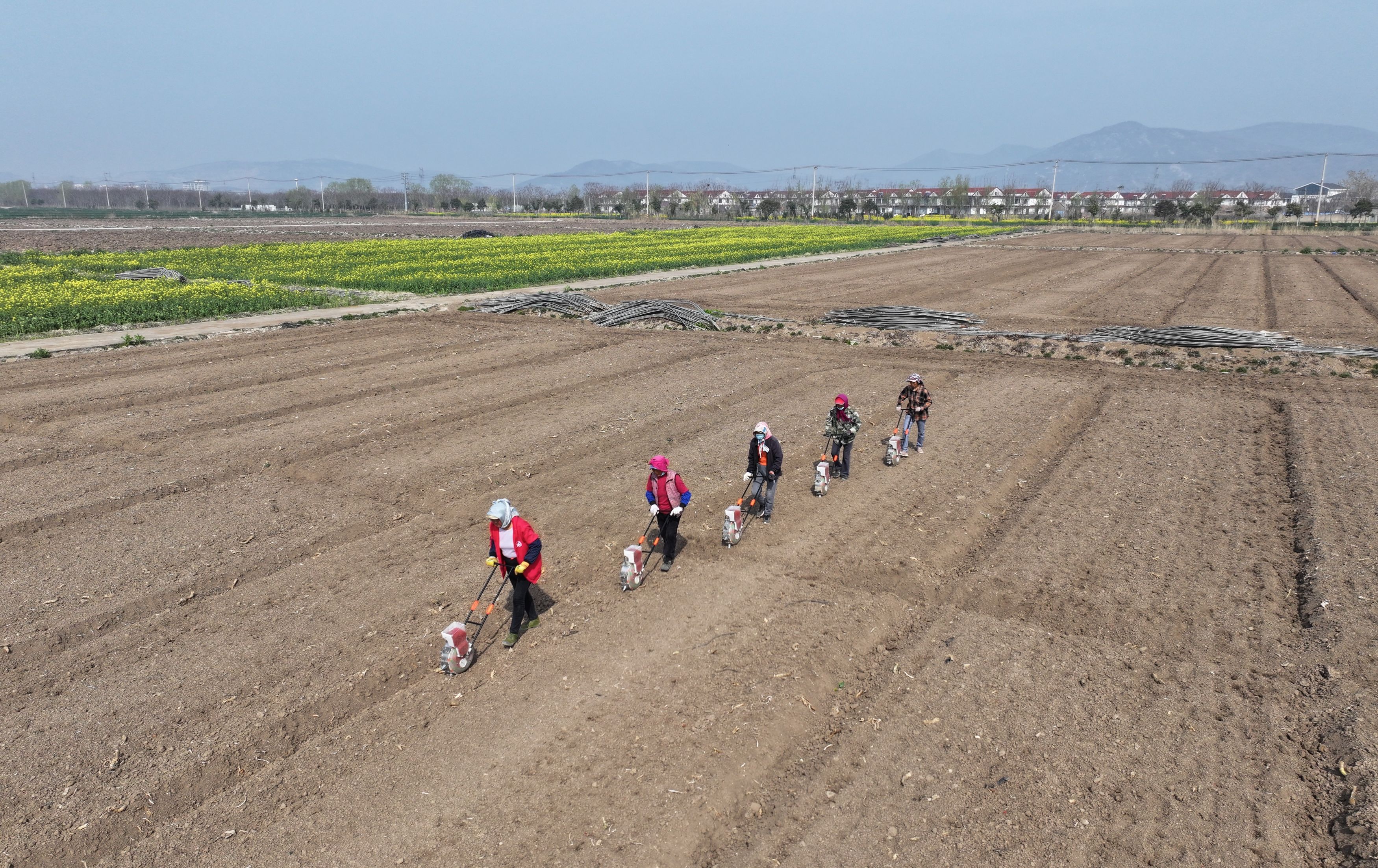 20260331兴垦科技抢抓农时 全力推进大豆春播工作 (5).JPG