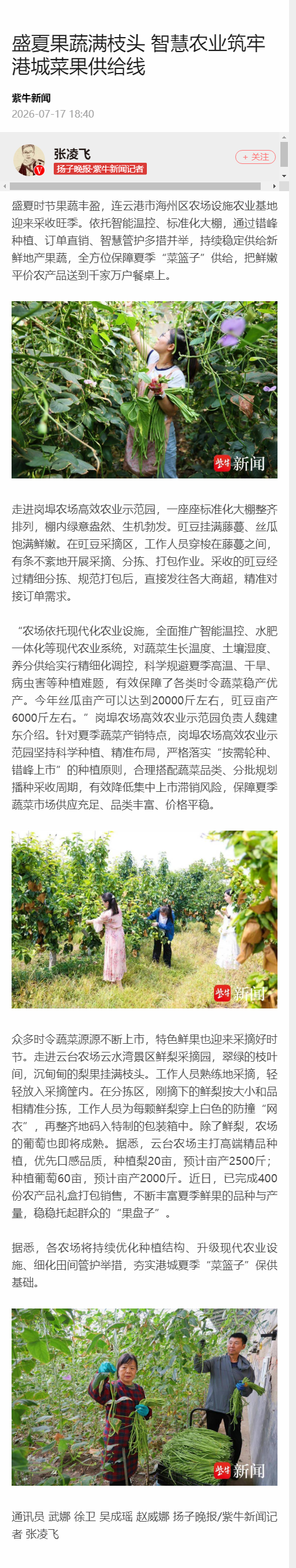 7.17吴成瑶-紫牛新闻 盛夏果蔬满枝头 智慧农业筑牢港城菜果供给线.png