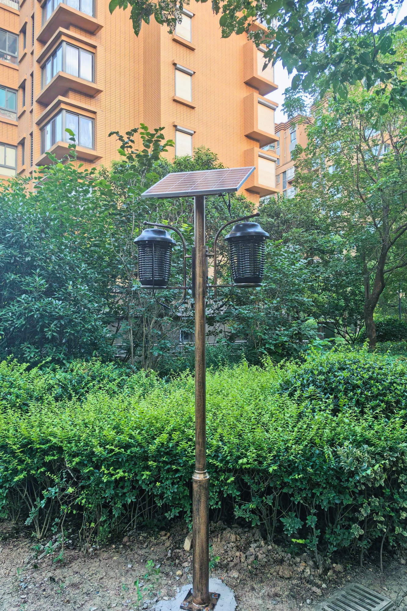 20260807 凤凰星城灭蚊灯“上岗”，华泰物业贴心护安居 (2).jpg