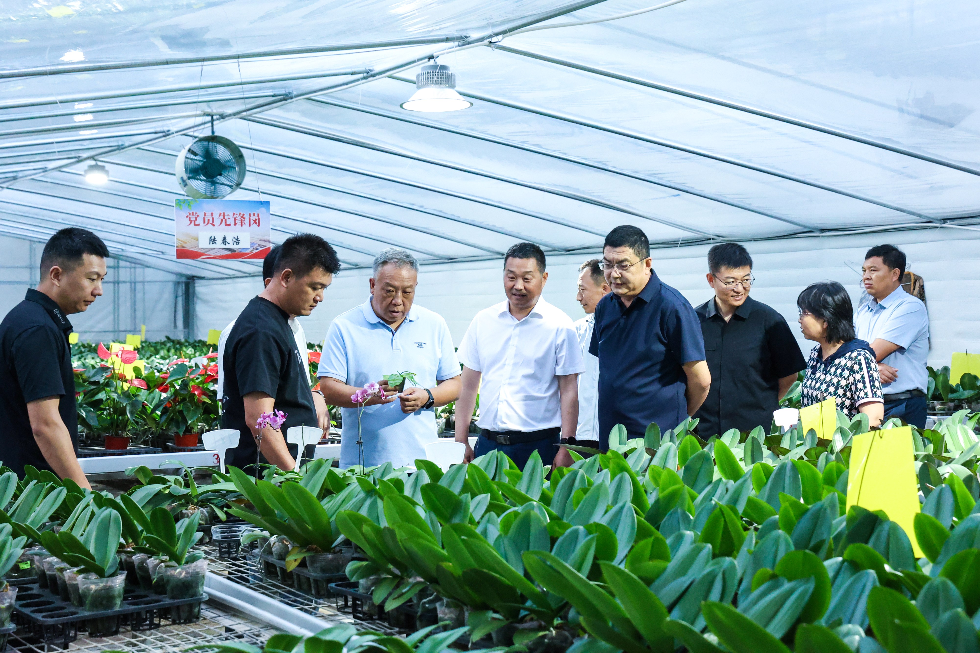 1788311928306646.jpg 20260901 吉林省农业农村厅调研组到云台农场考察调研.JPG