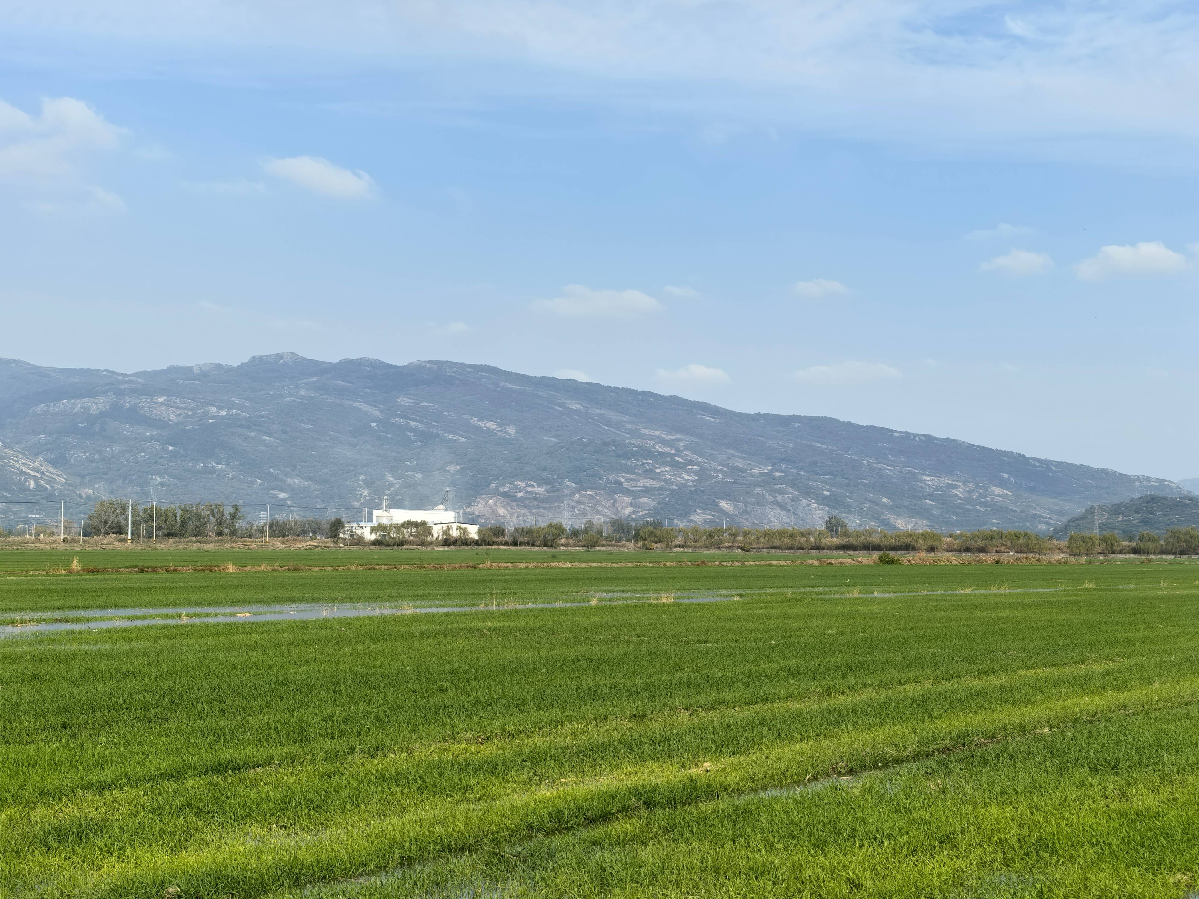 /gb2312/sdcy/xdny/2161.html