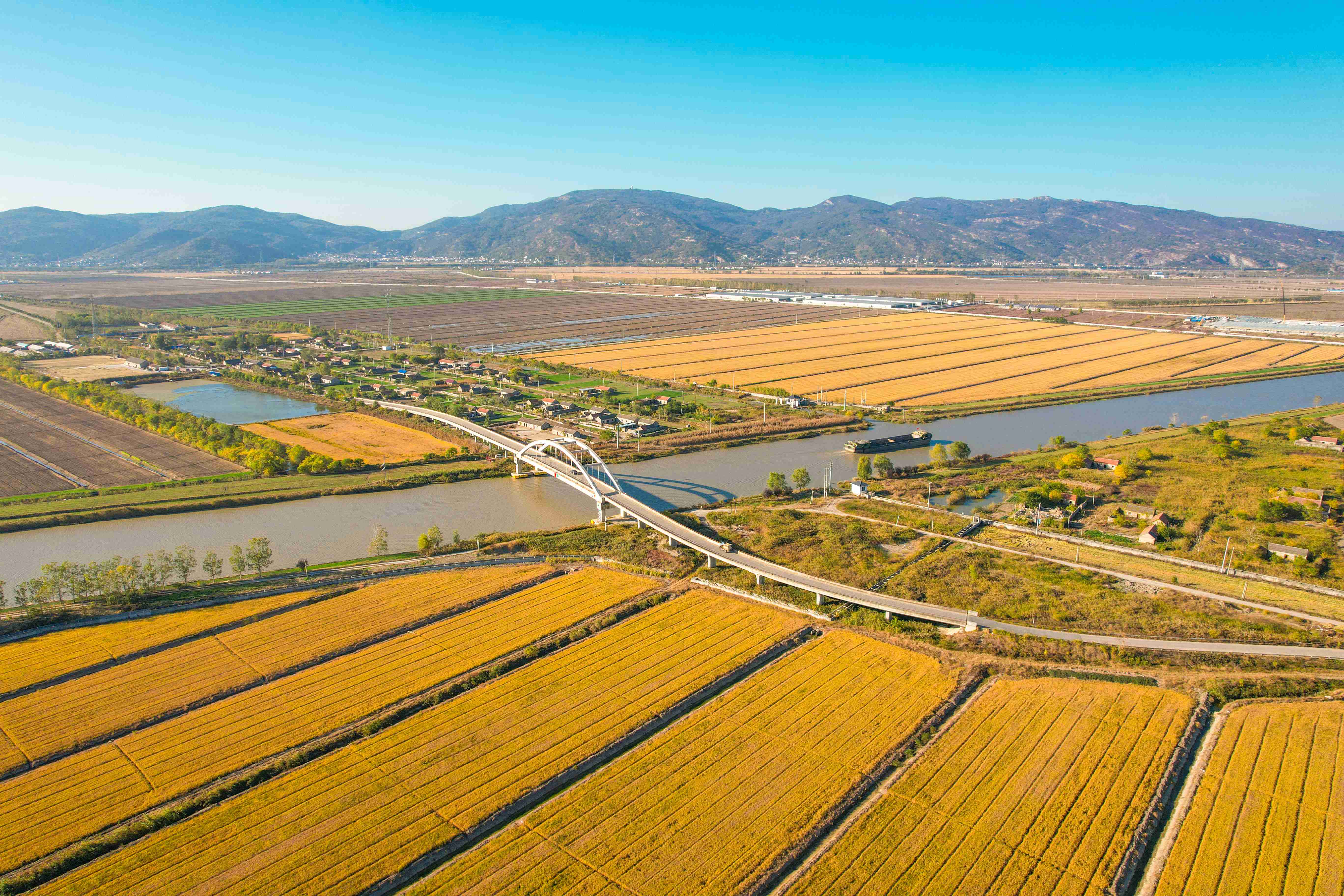 /gb2312/sdcy/xdny/2174.html