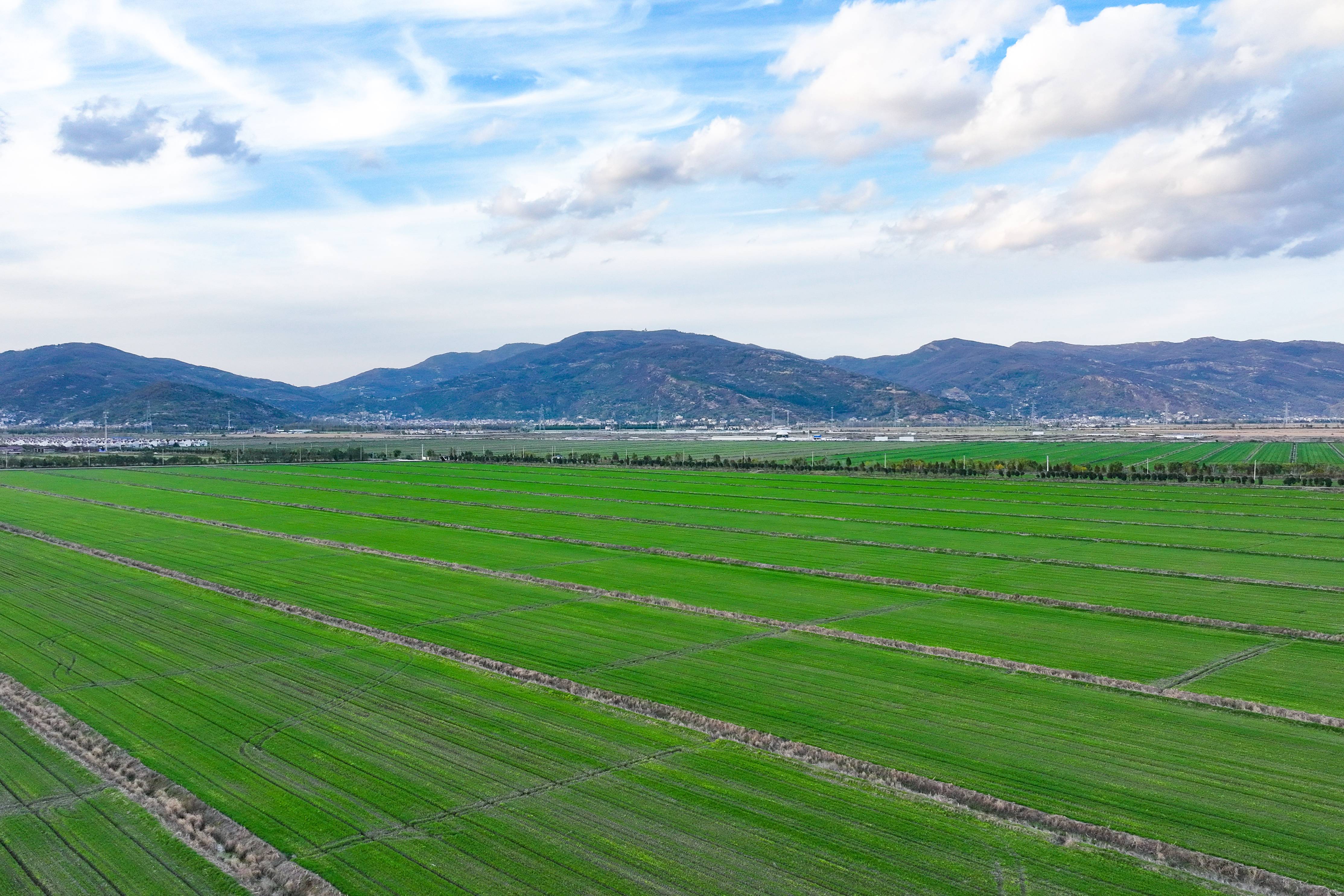 /gb2312/sdcy/xdny/2178.html