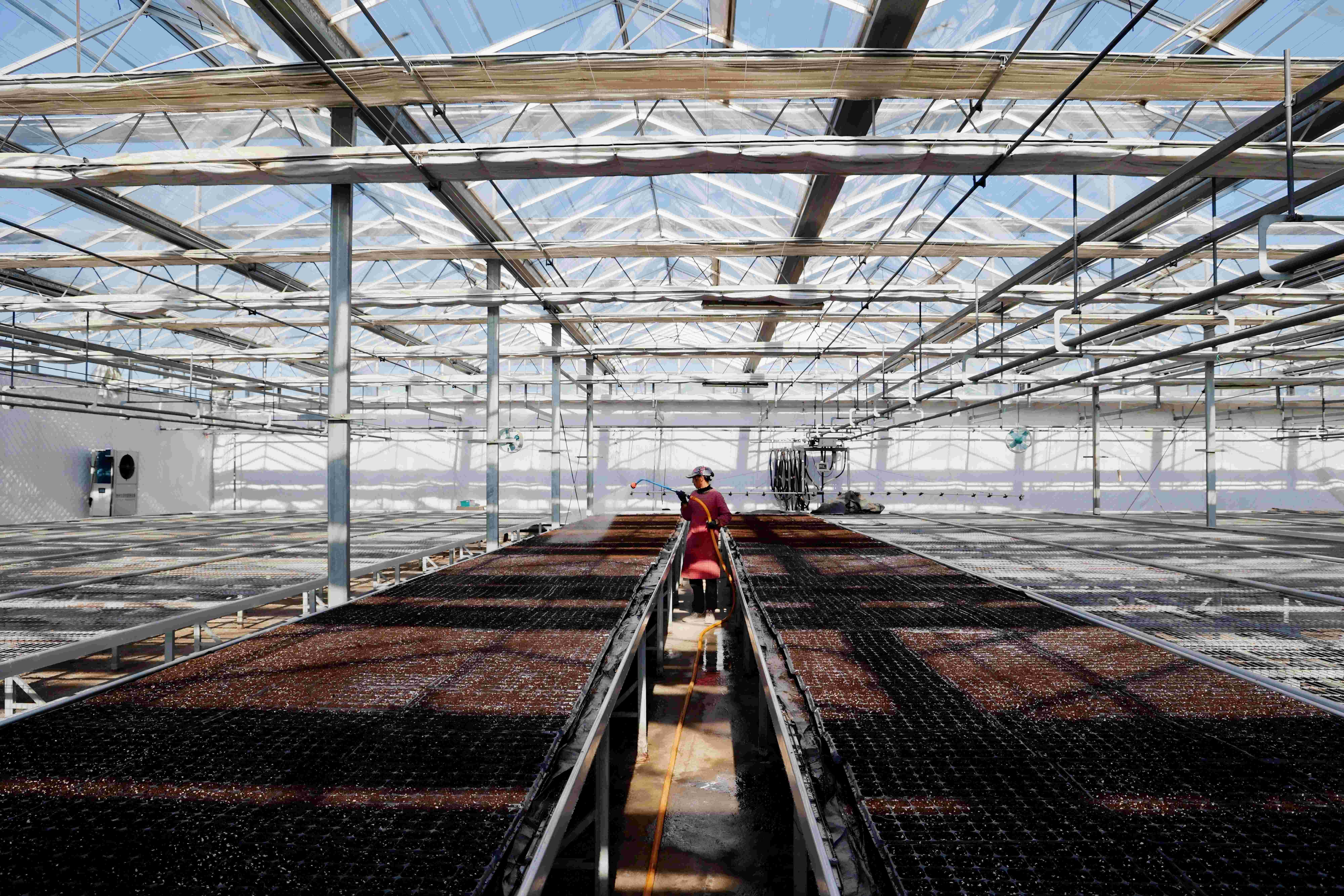 /gb2312/sdcy/xdny/2181.html